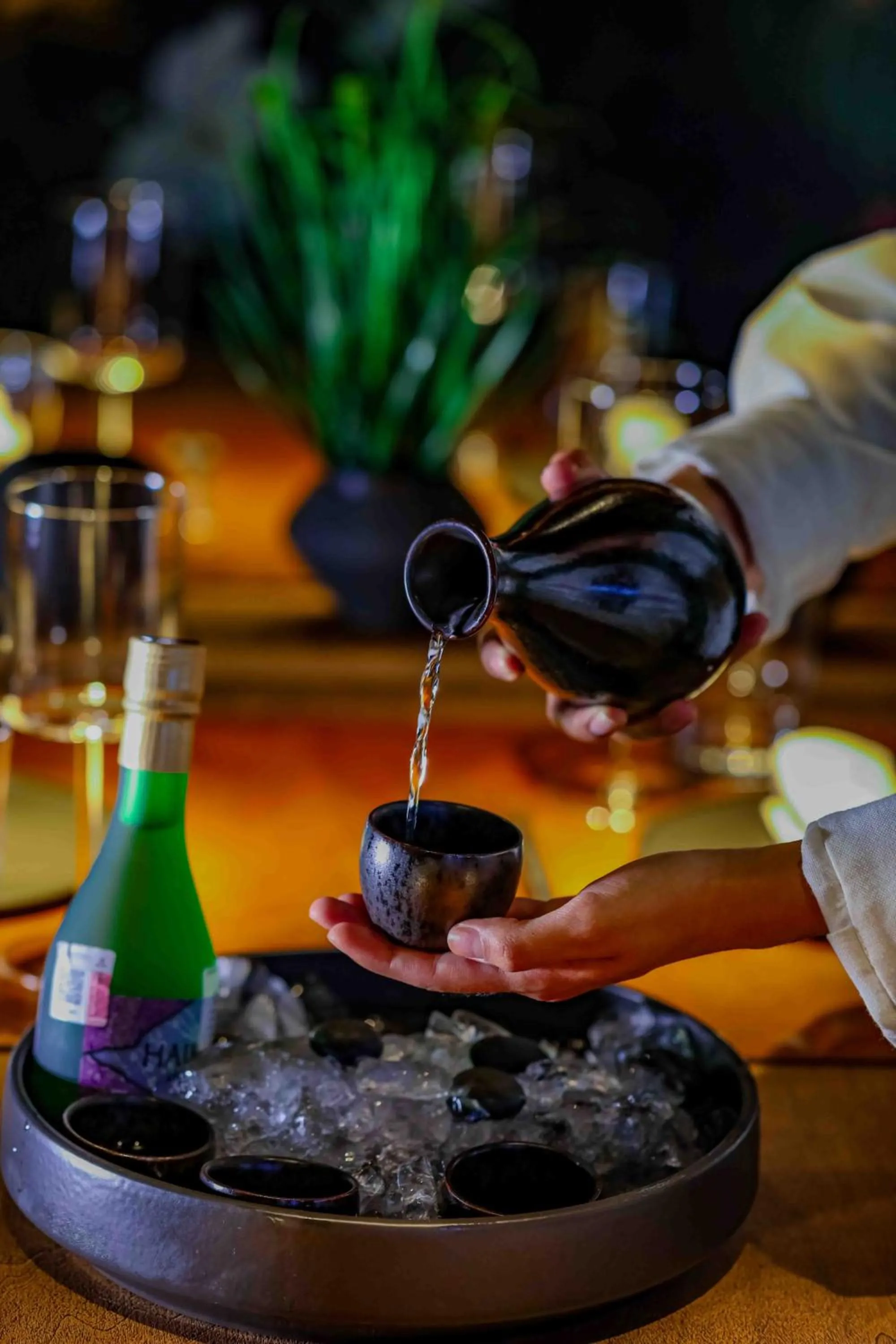 Restaurant/places to eat in Republica Pagana