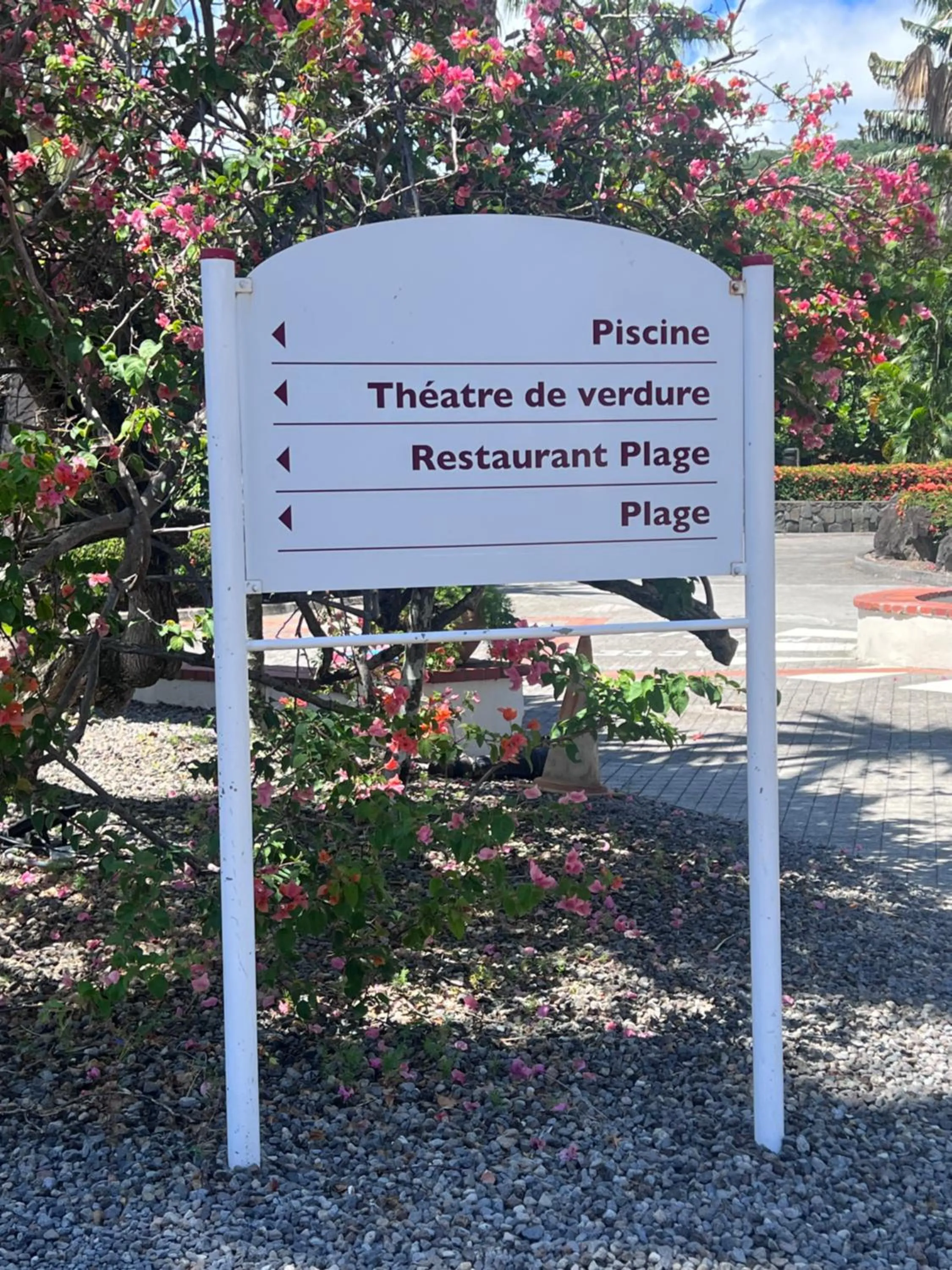 cœur d hibiscus P&V