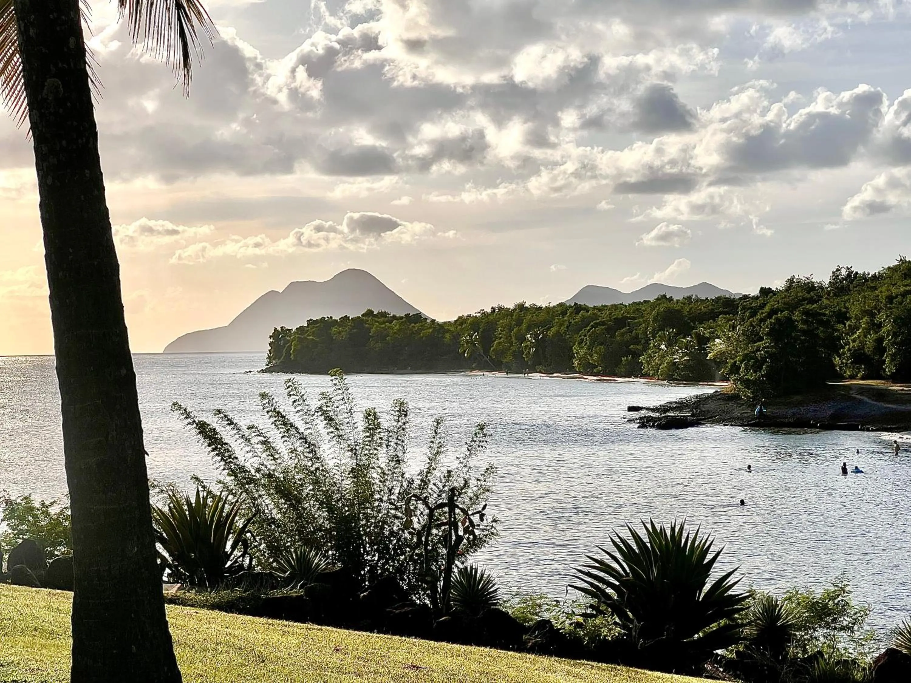 cœur d hibiscus P&V