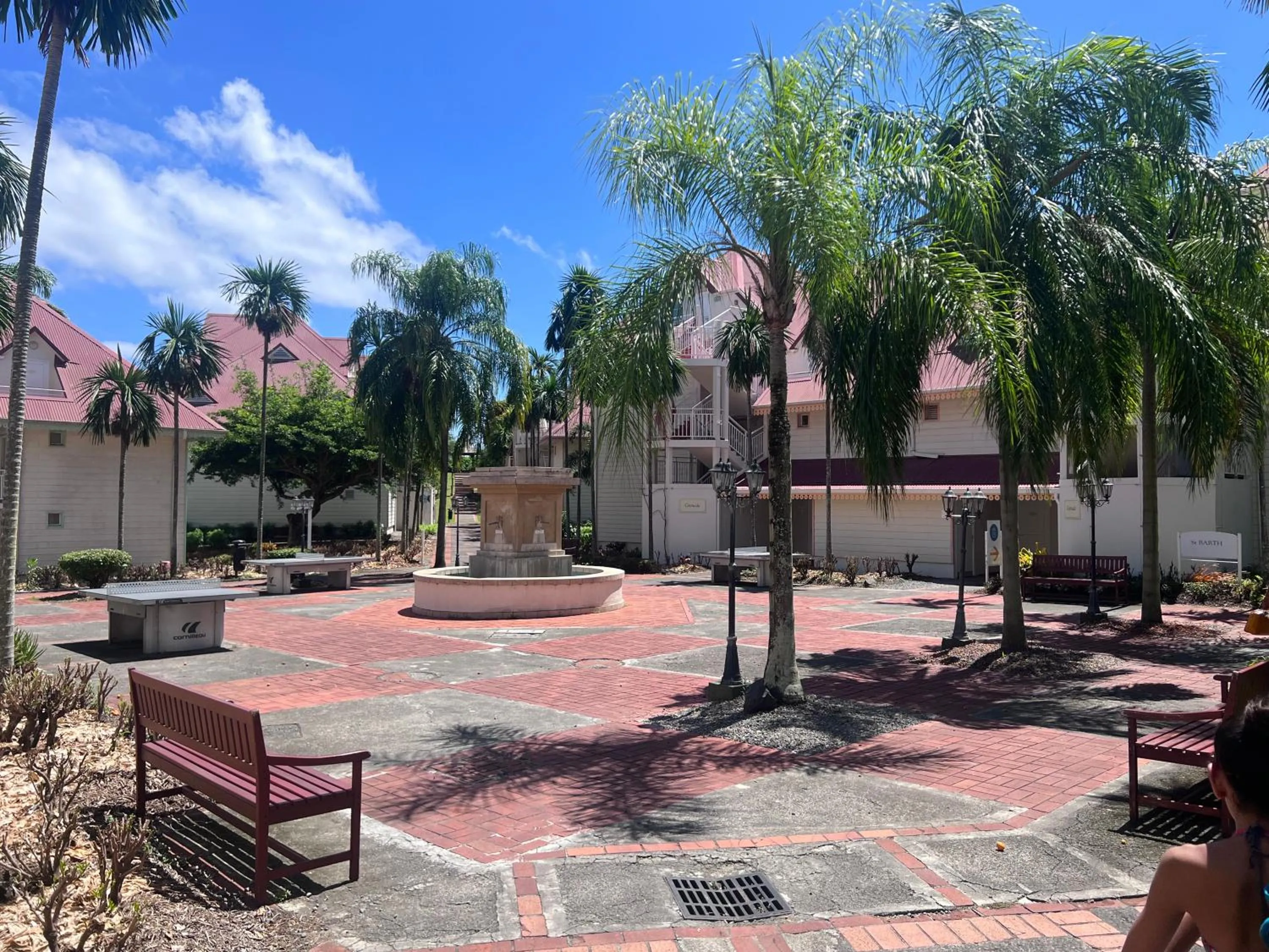 Table tennis in cœur d hibiscus P&V