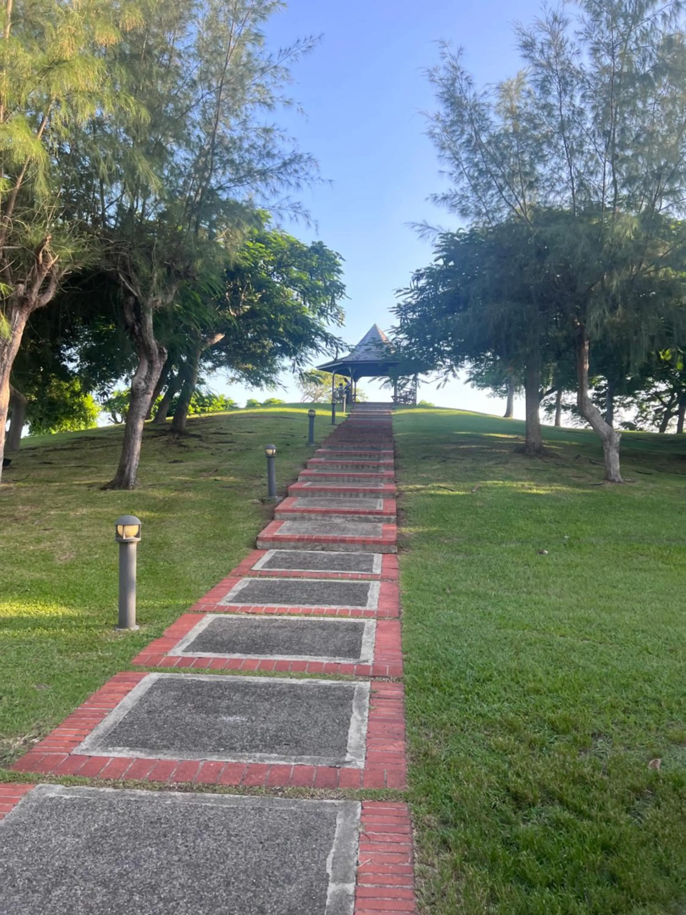 cœur d hibiscus P&V