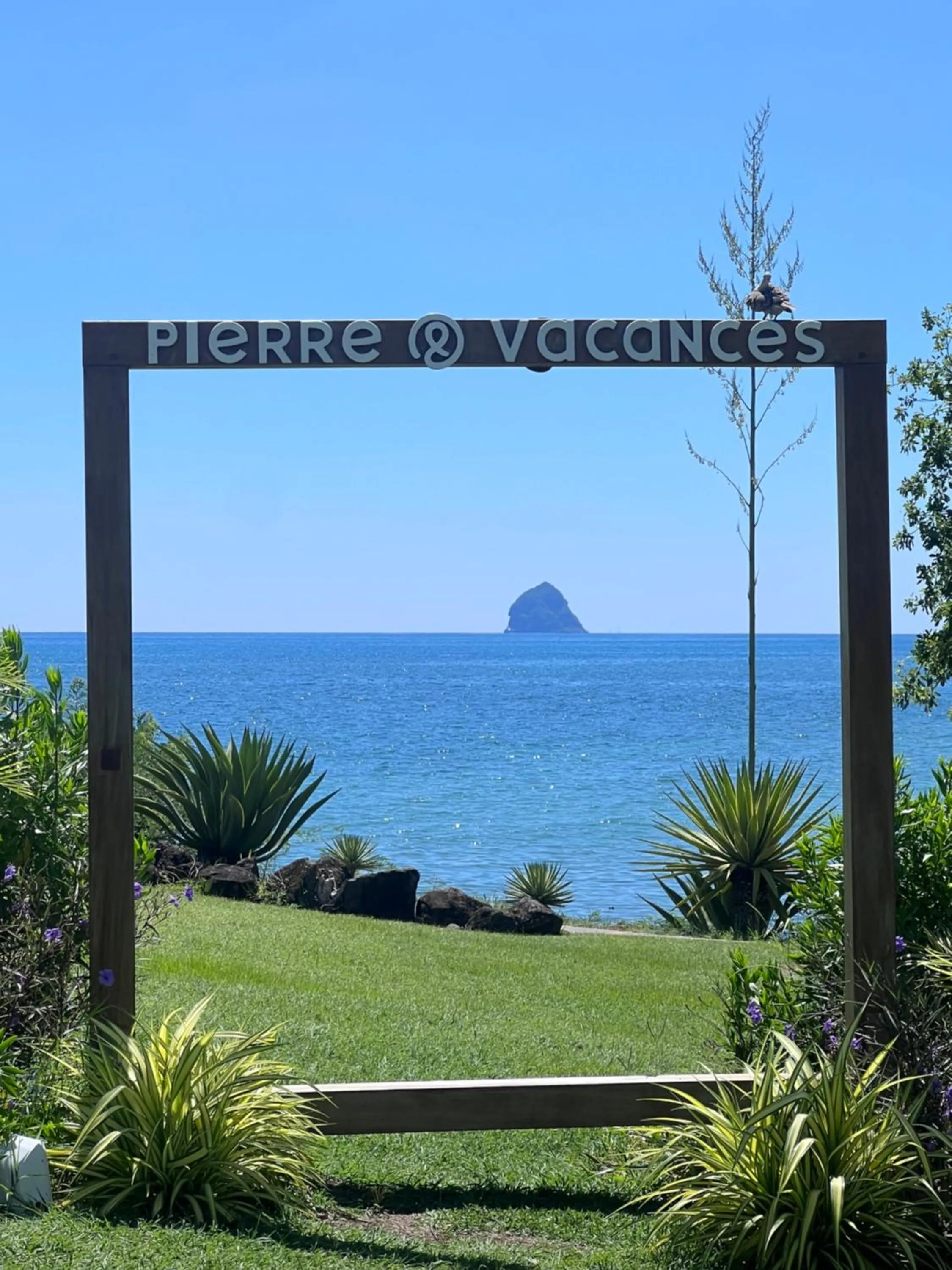 Natural landscape in cœur d hibiscus P&V