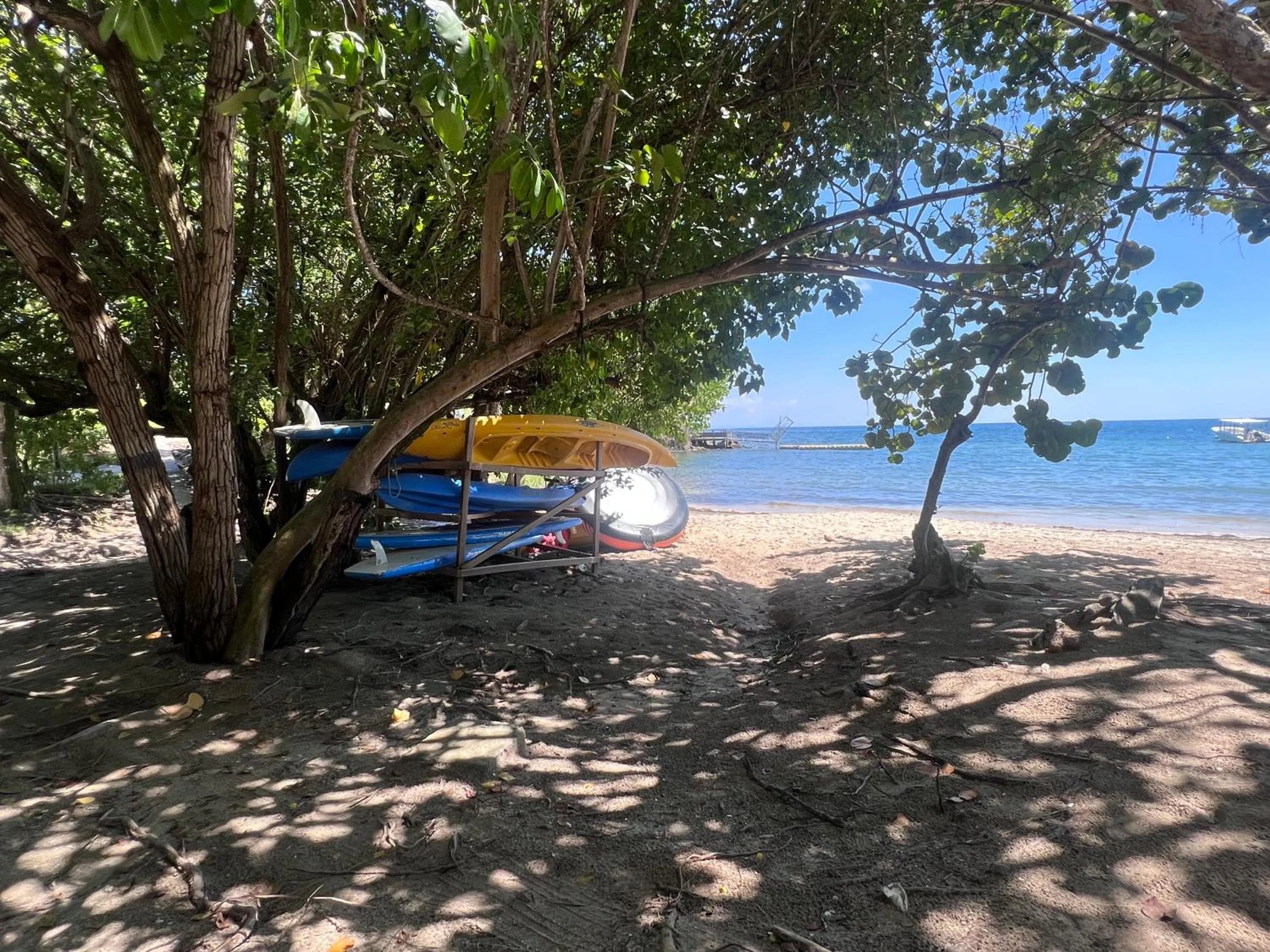 Natural landscape in cœur d hibiscus P&V