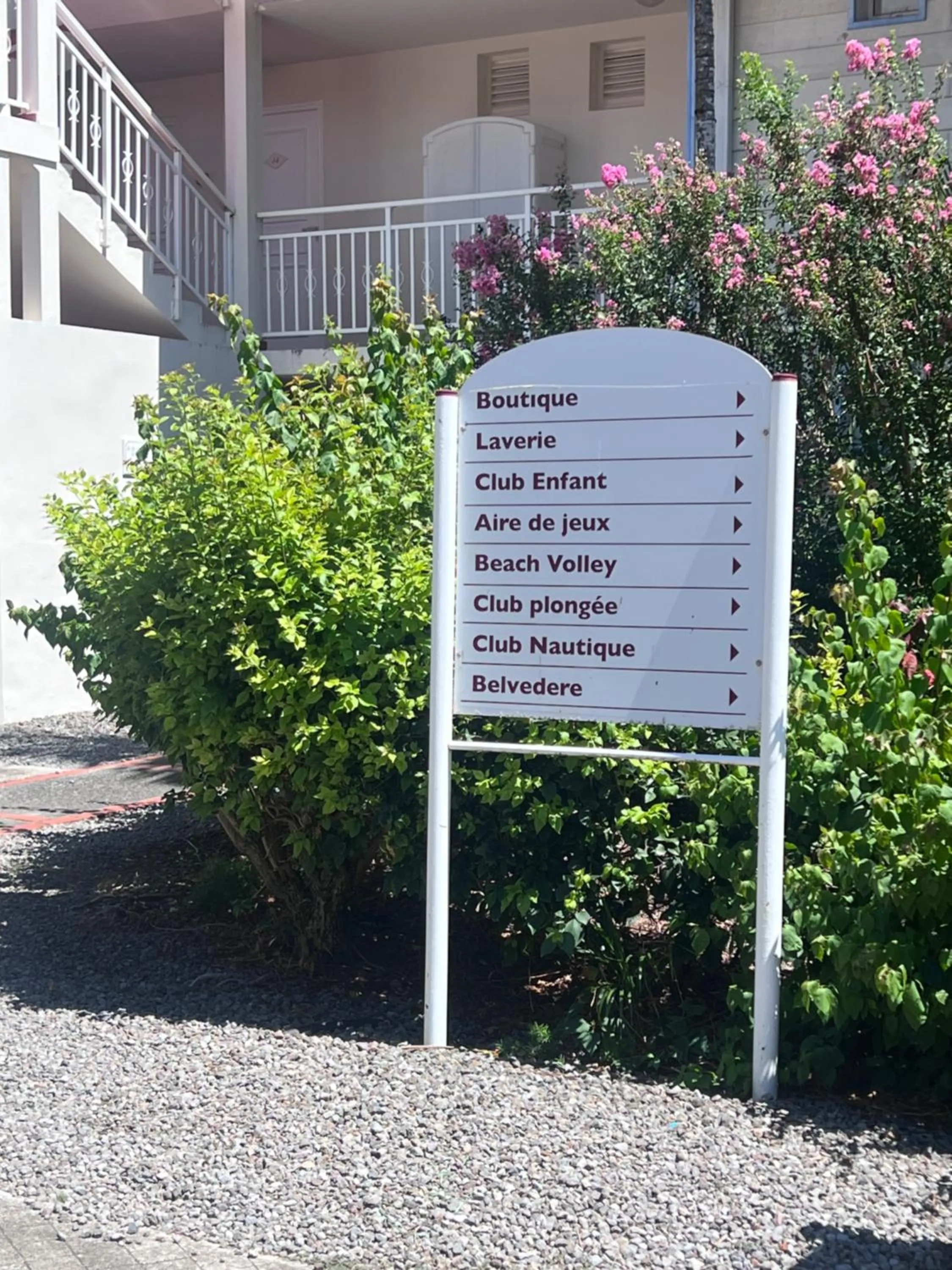 cœur d hibiscus P&V