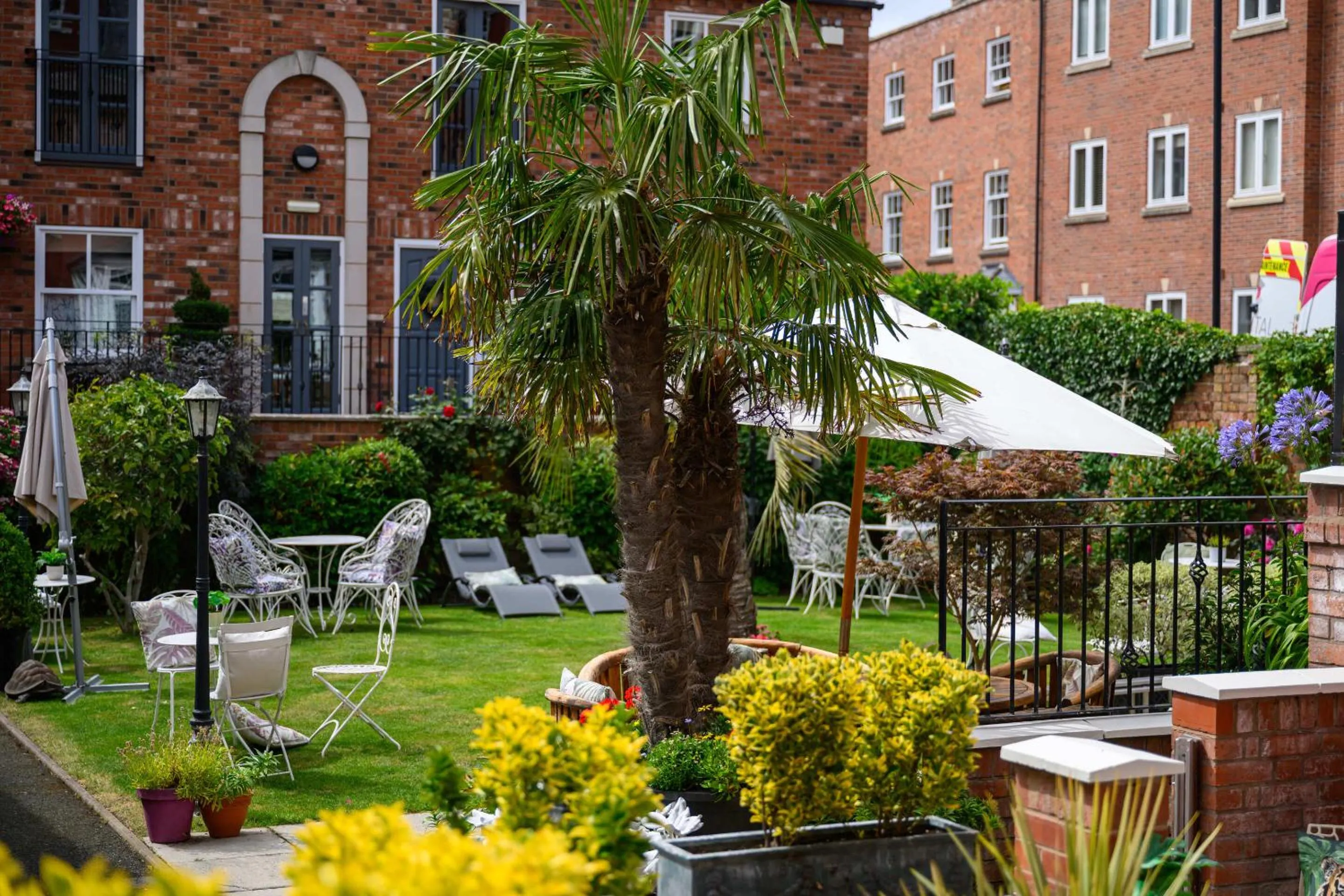 Garden in Darwin's Townhouse