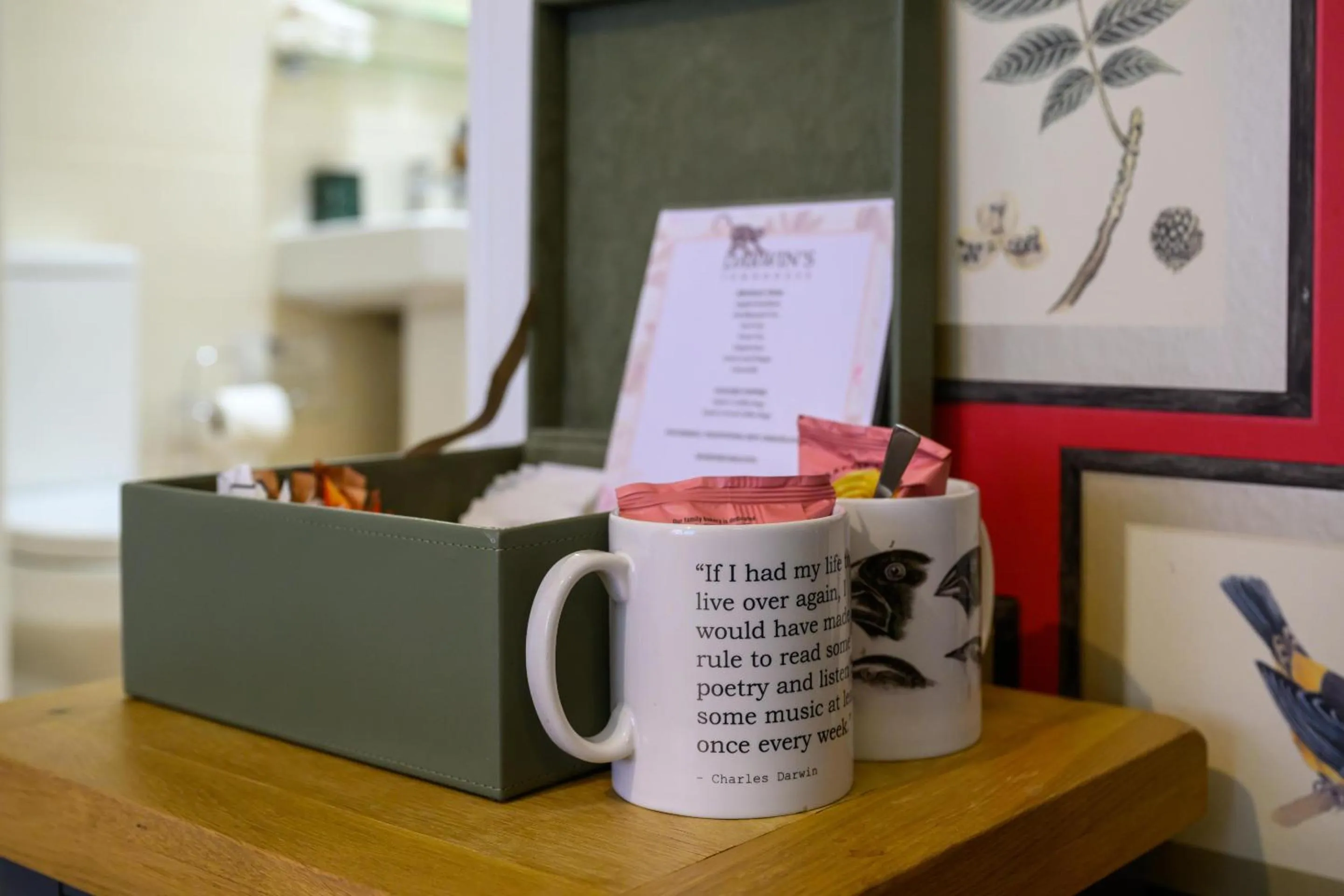 Bedroom in Darwin's Townhouse