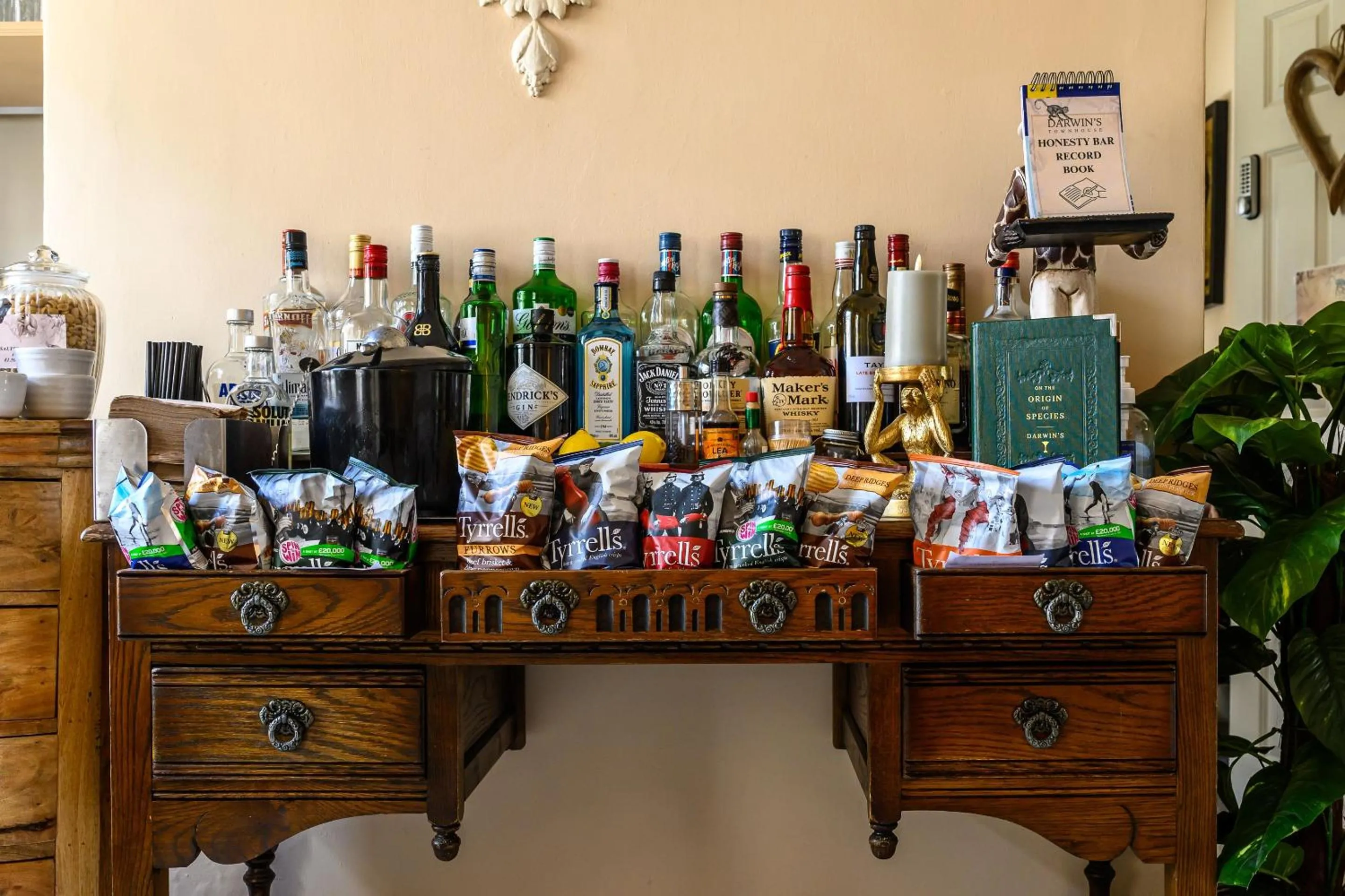 Living room in Darwin's Townhouse