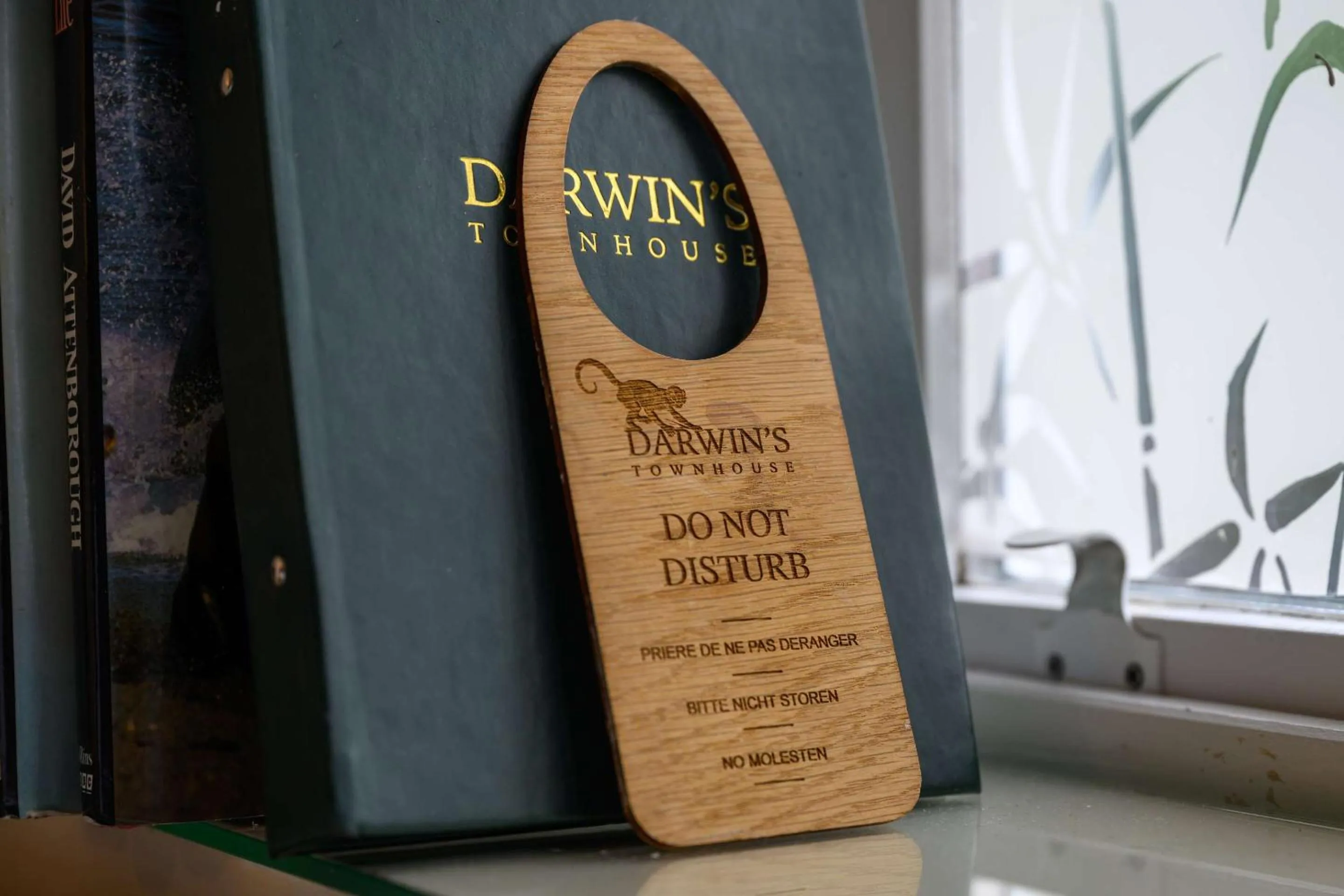 Bedroom in Darwin's Townhouse