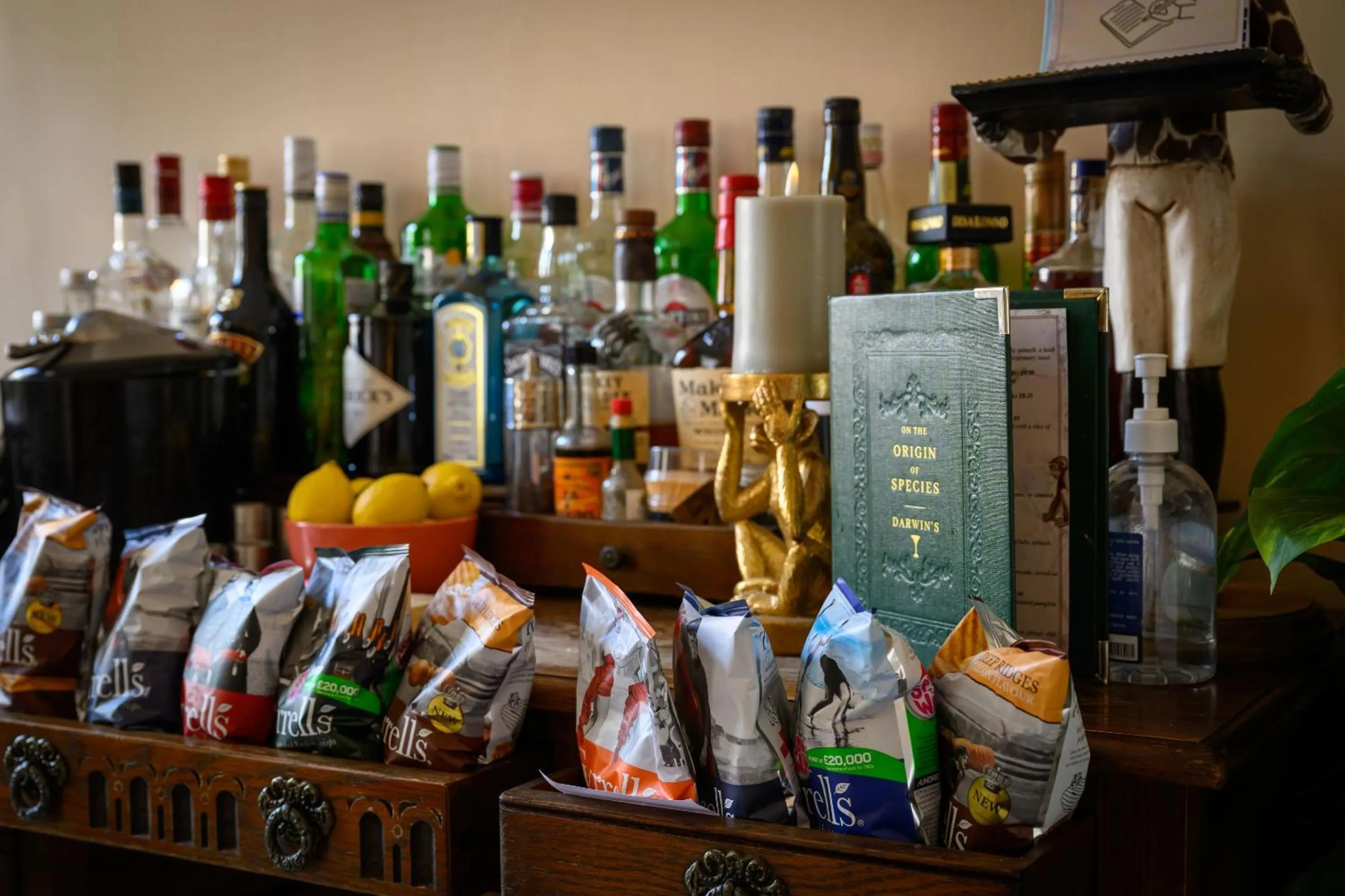 Living room in Darwin's Townhouse