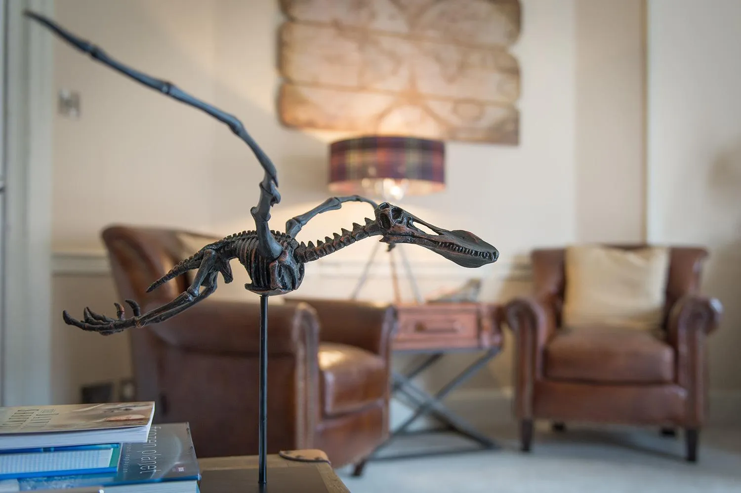 Living room in Darwin's Townhouse