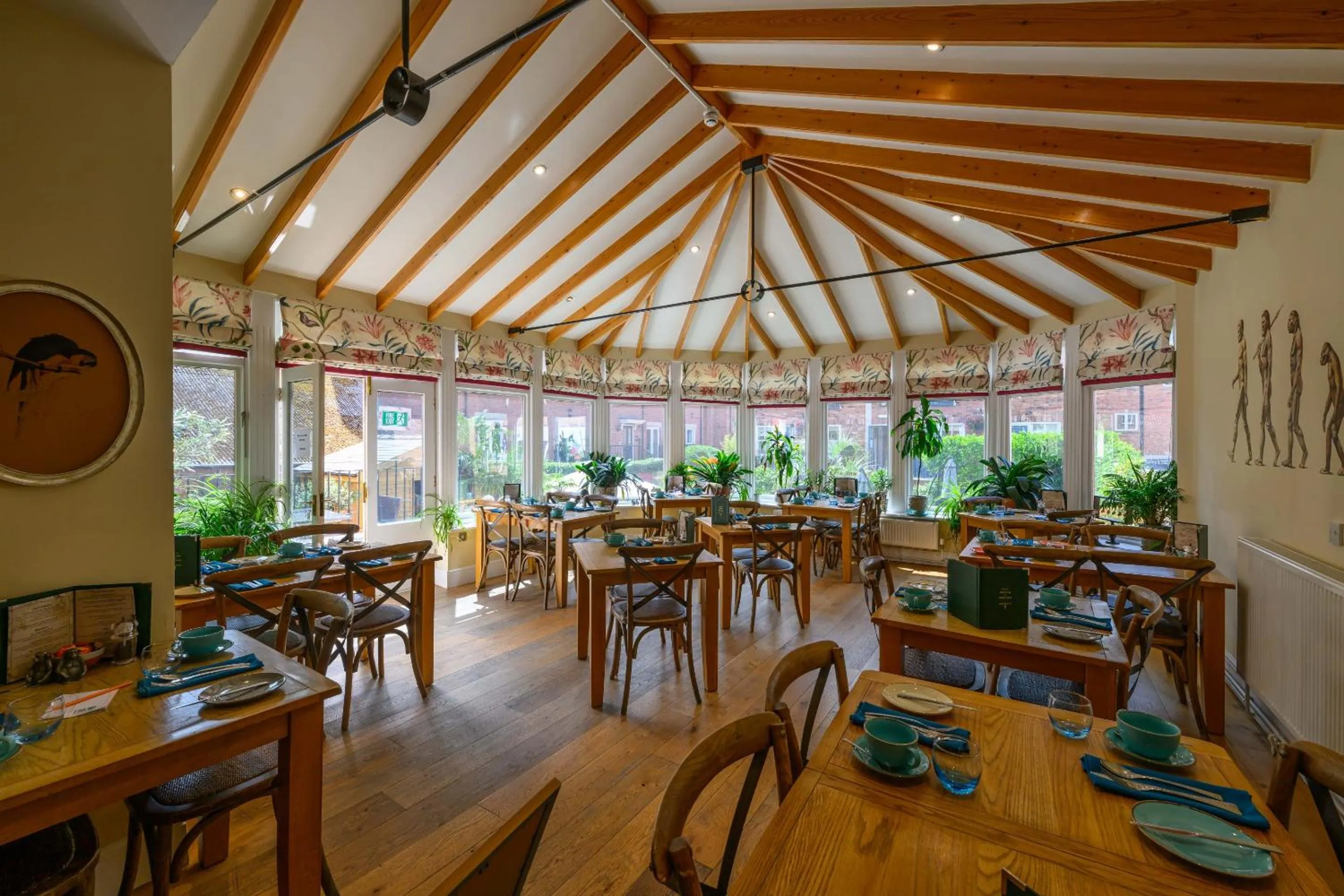 Other in Darwin's Townhouse