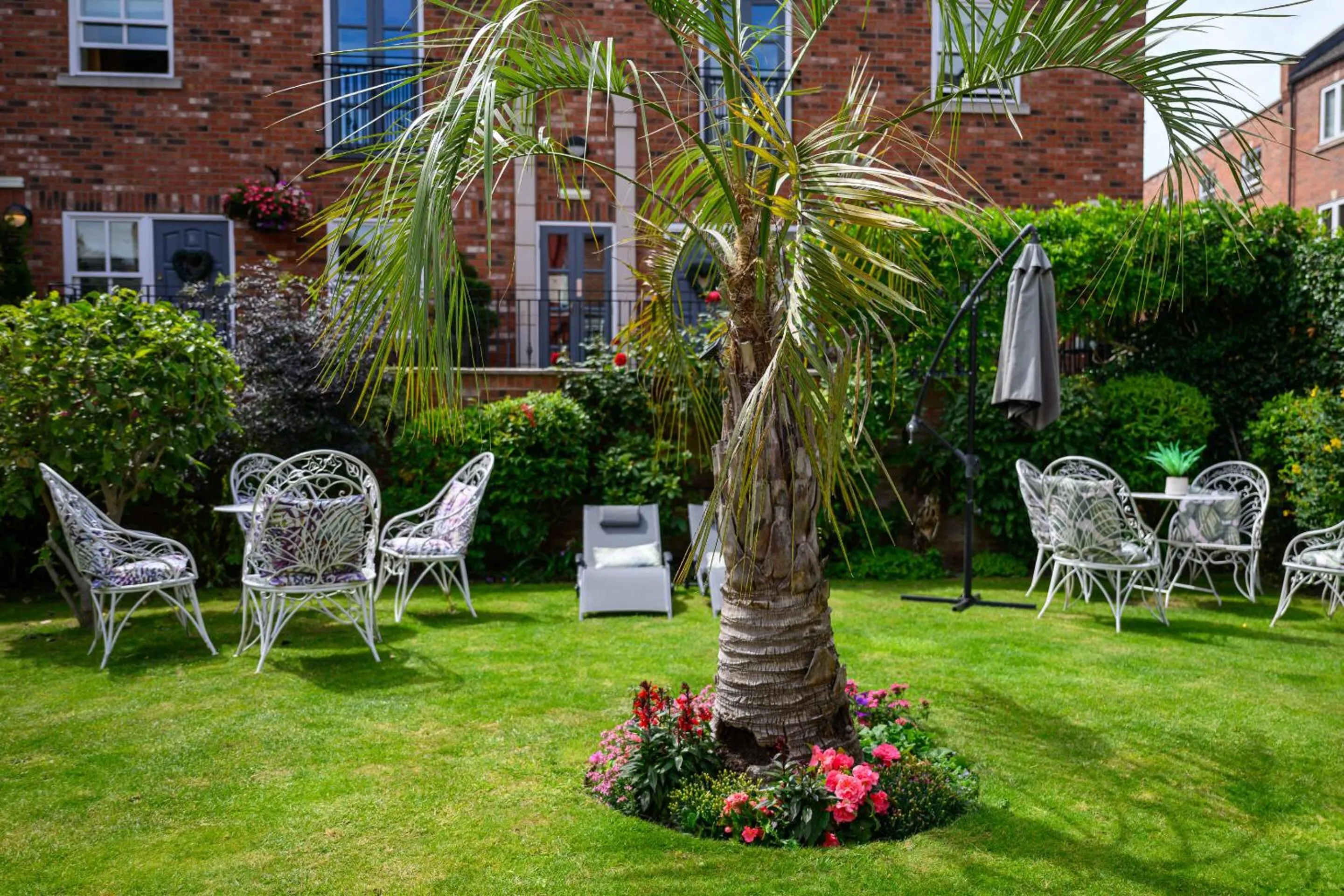 Garden in Darwin's Townhouse