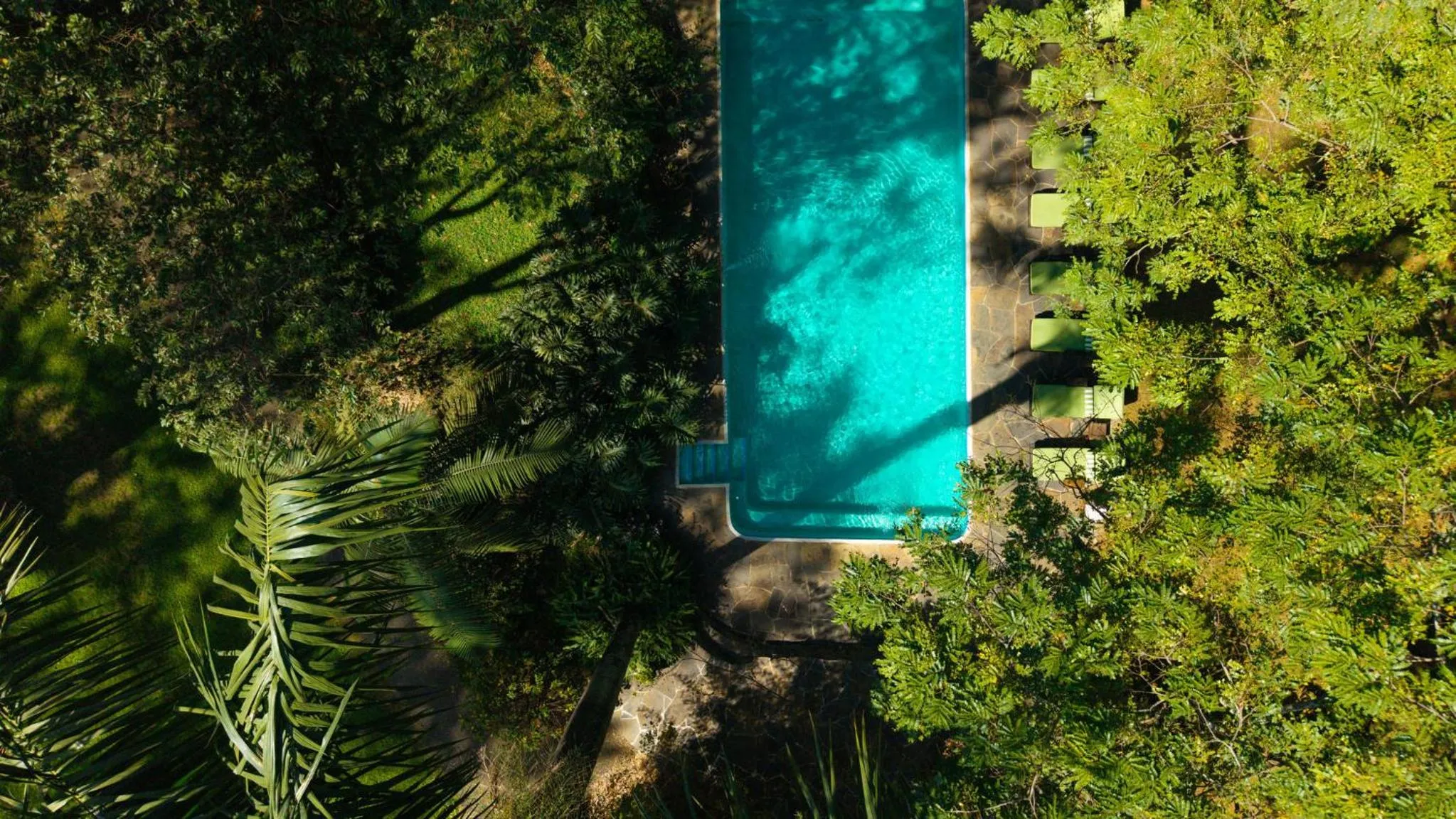 Garden view in Rivertrees Country Inn