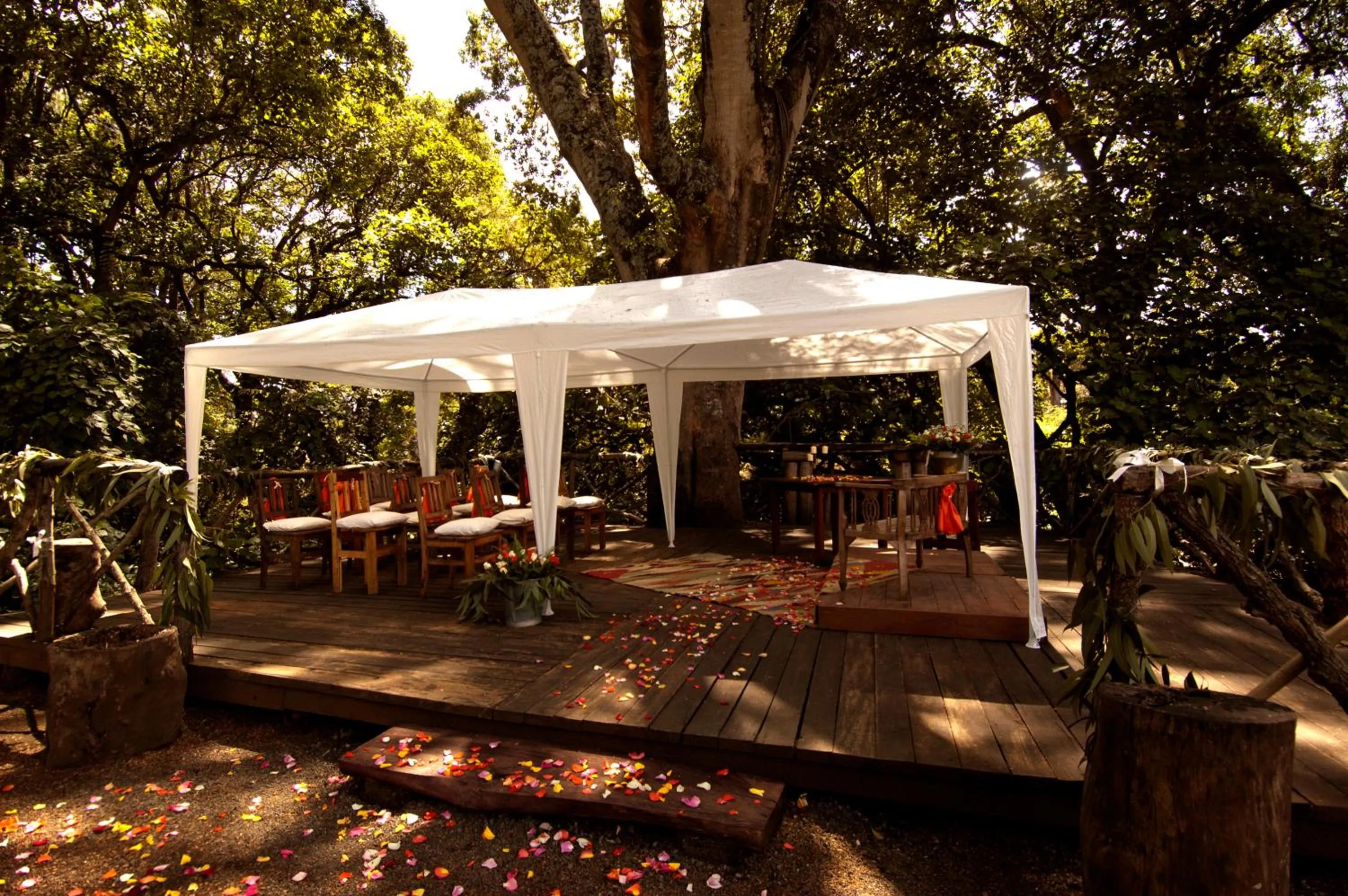 Garden in Rivertrees Country Inn