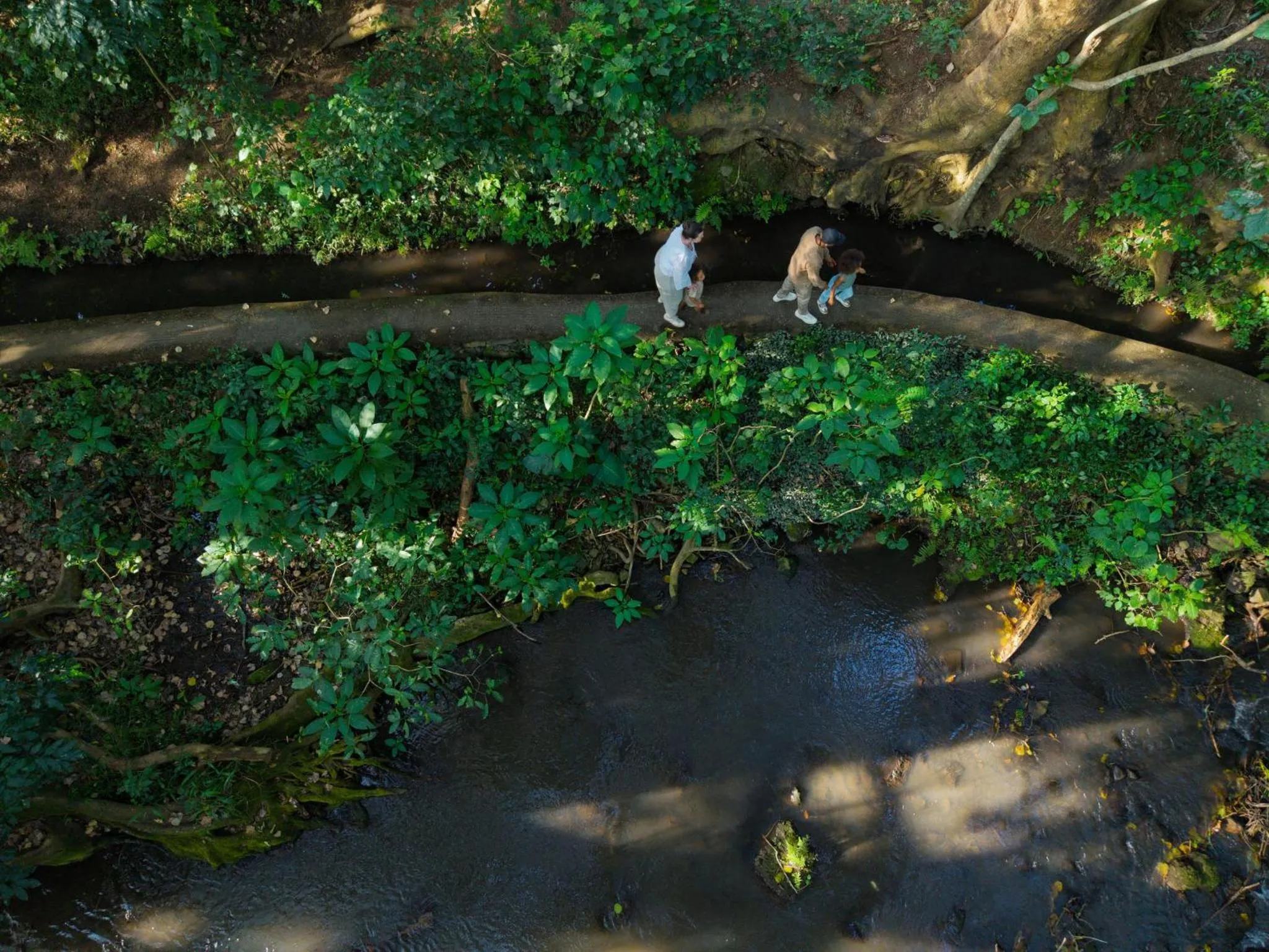 River view in Rivertrees Country Inn