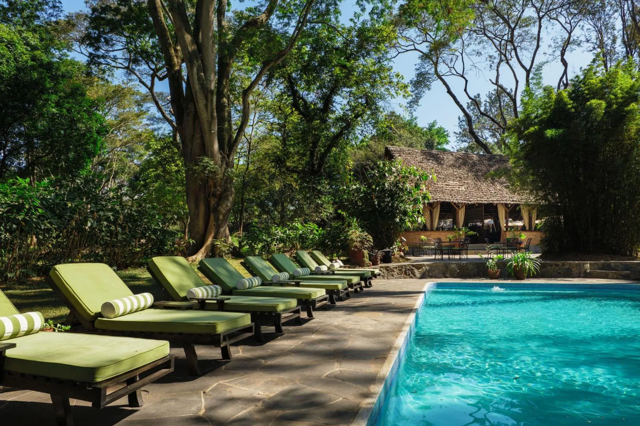 Swimming pool in Rivertrees Country Inn