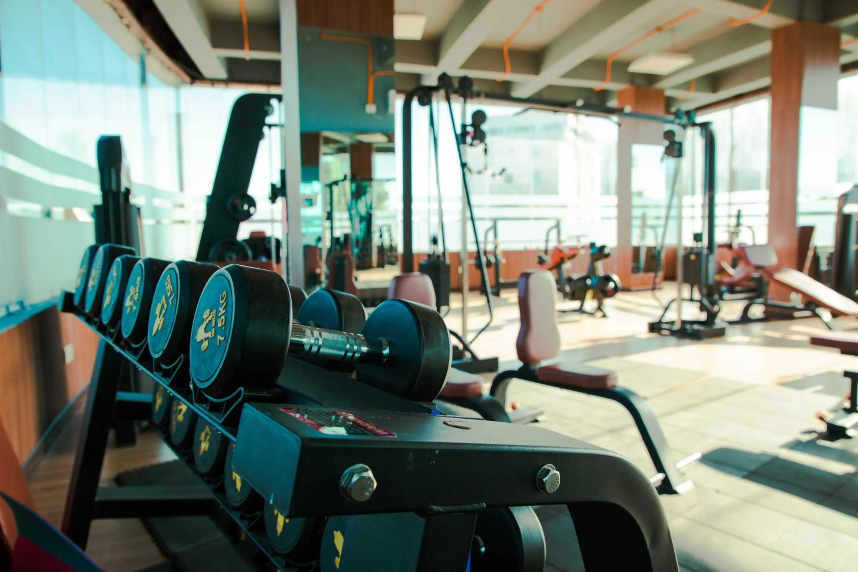 Fitness centre/facilities in Nepalirika Hotel Biratchowk