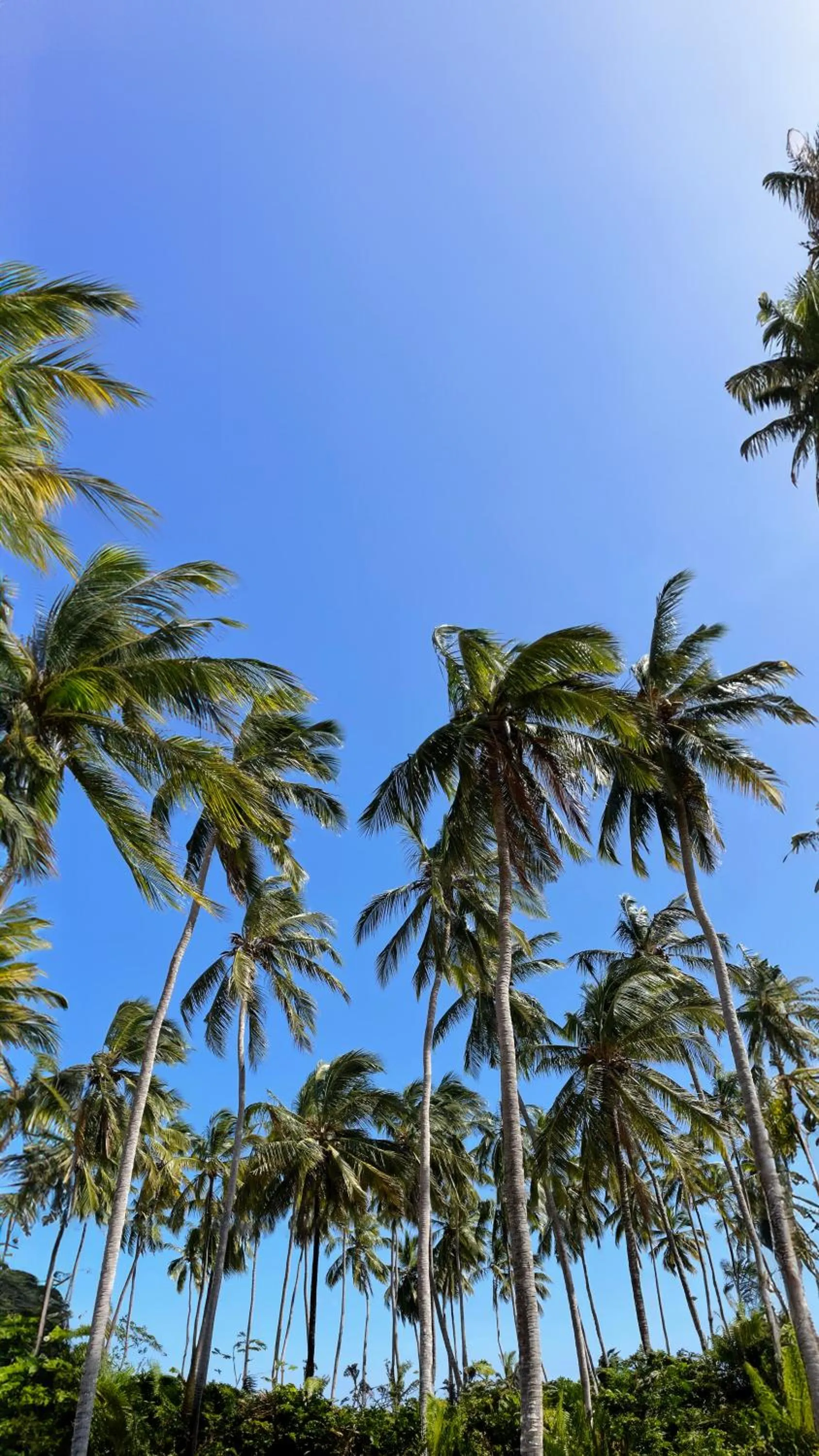 Landmark view in Ycona Eco-Luxury Resort, Zanzibar