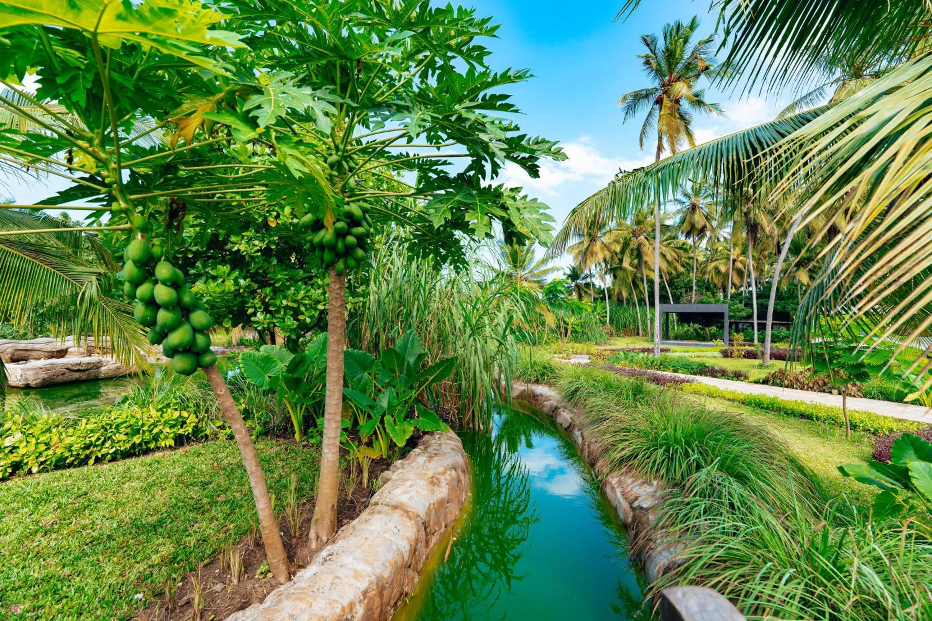 Garden in Ycona Eco-Luxury Resort, Zanzibar