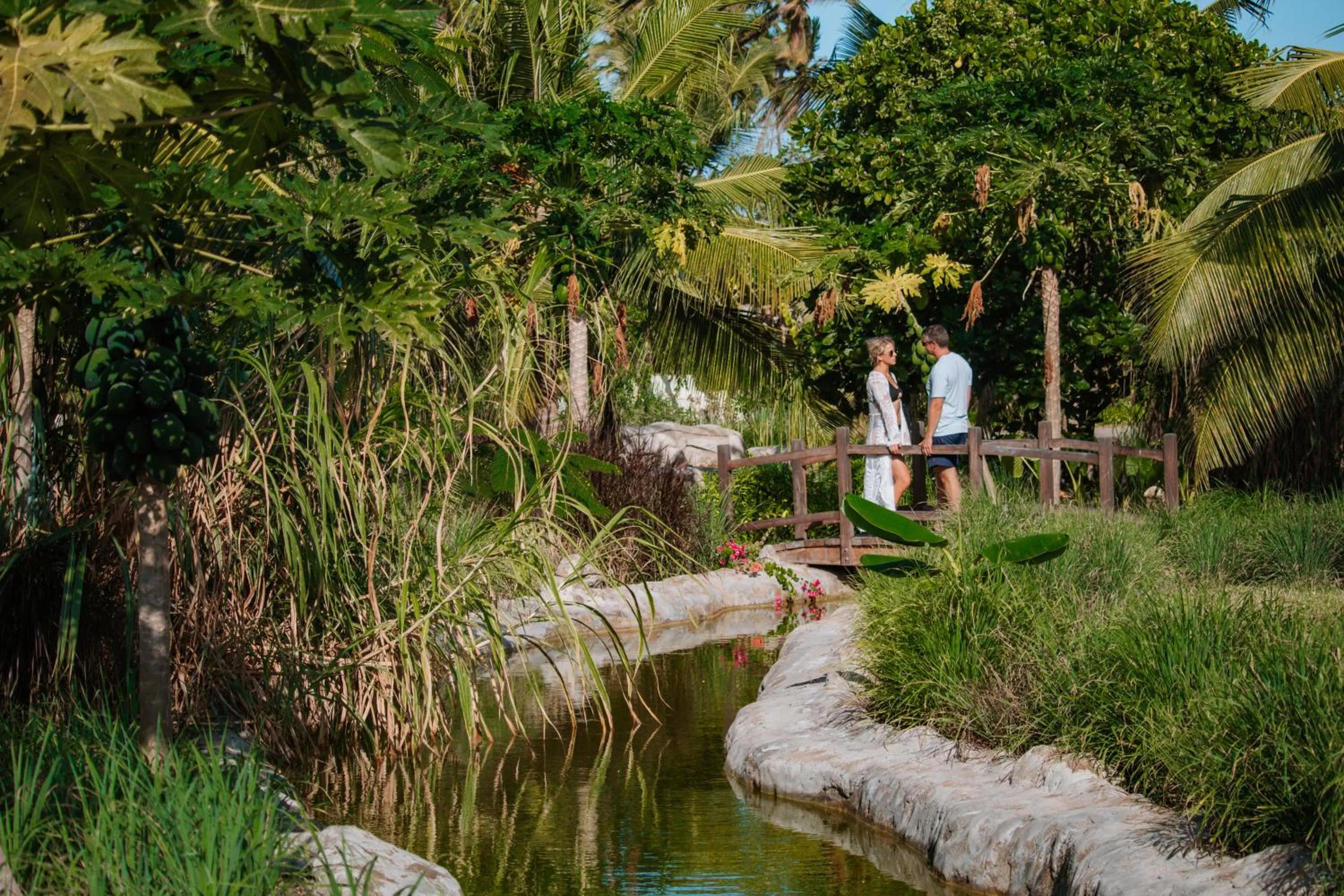 Natural landscape in Ycona Eco-Luxury Resort, Zanzibar