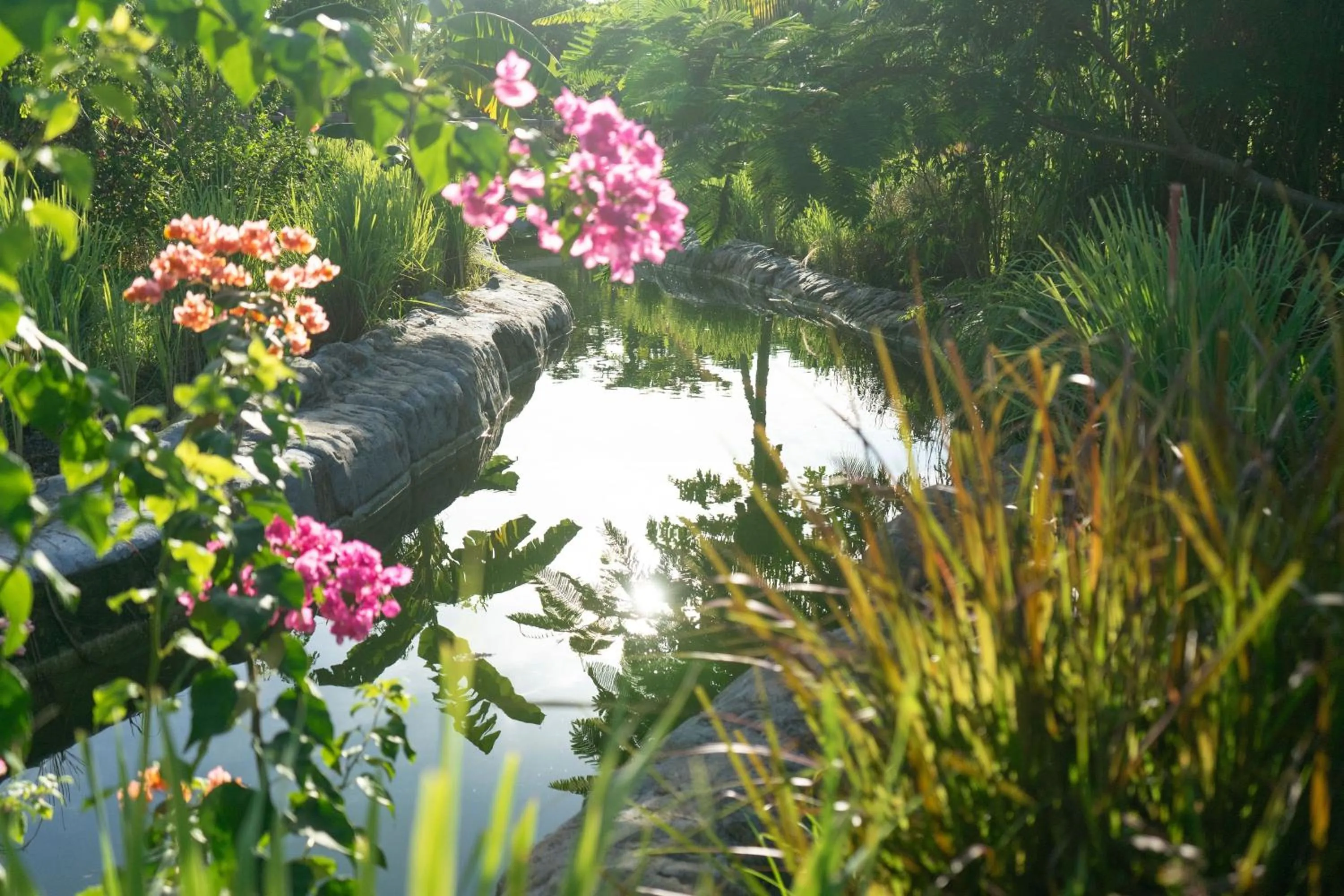 Natural landscape in Ycona Eco-Luxury Resort, Zanzibar