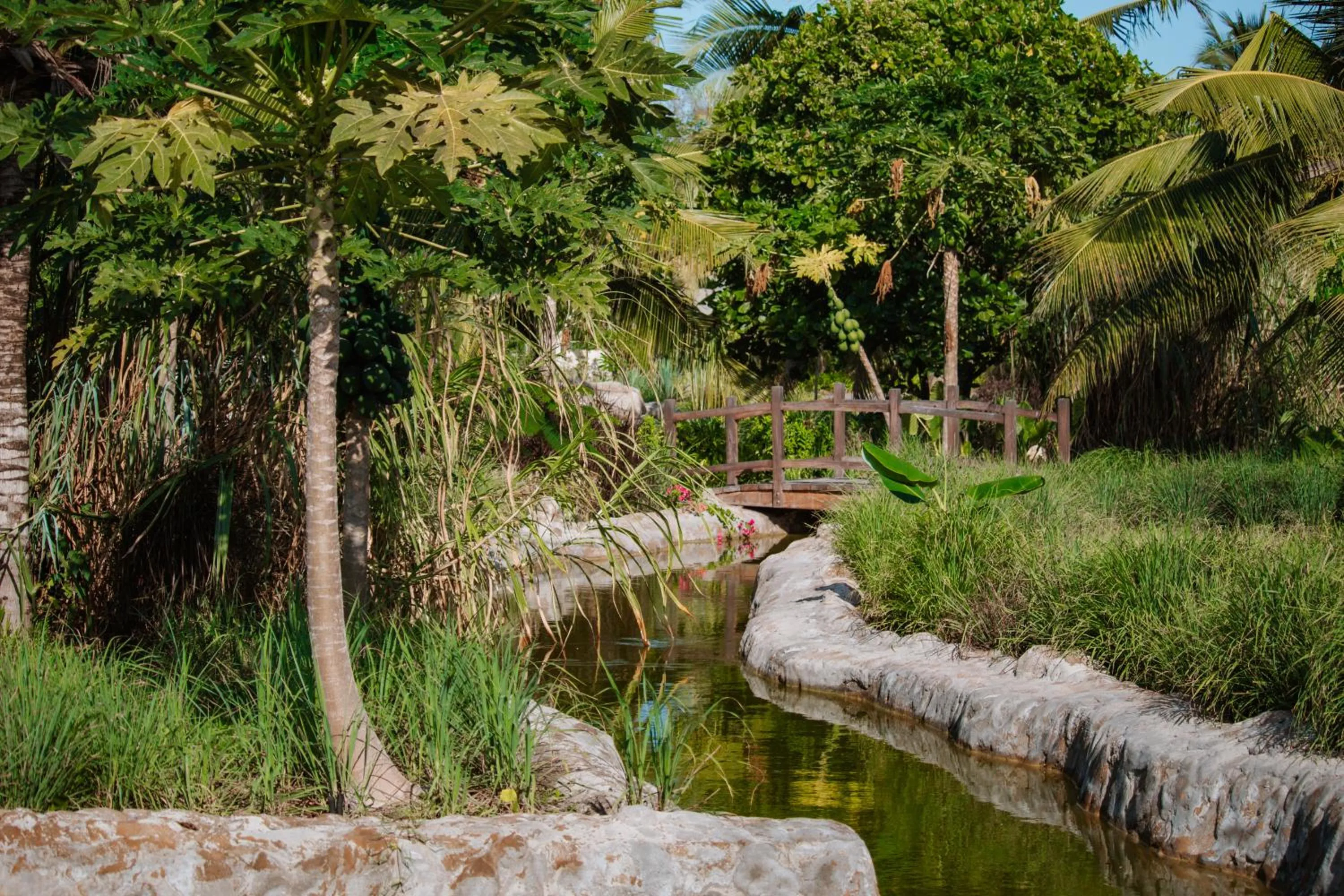 Natural landscape in Ycona Eco-Luxury Resort, Zanzibar
