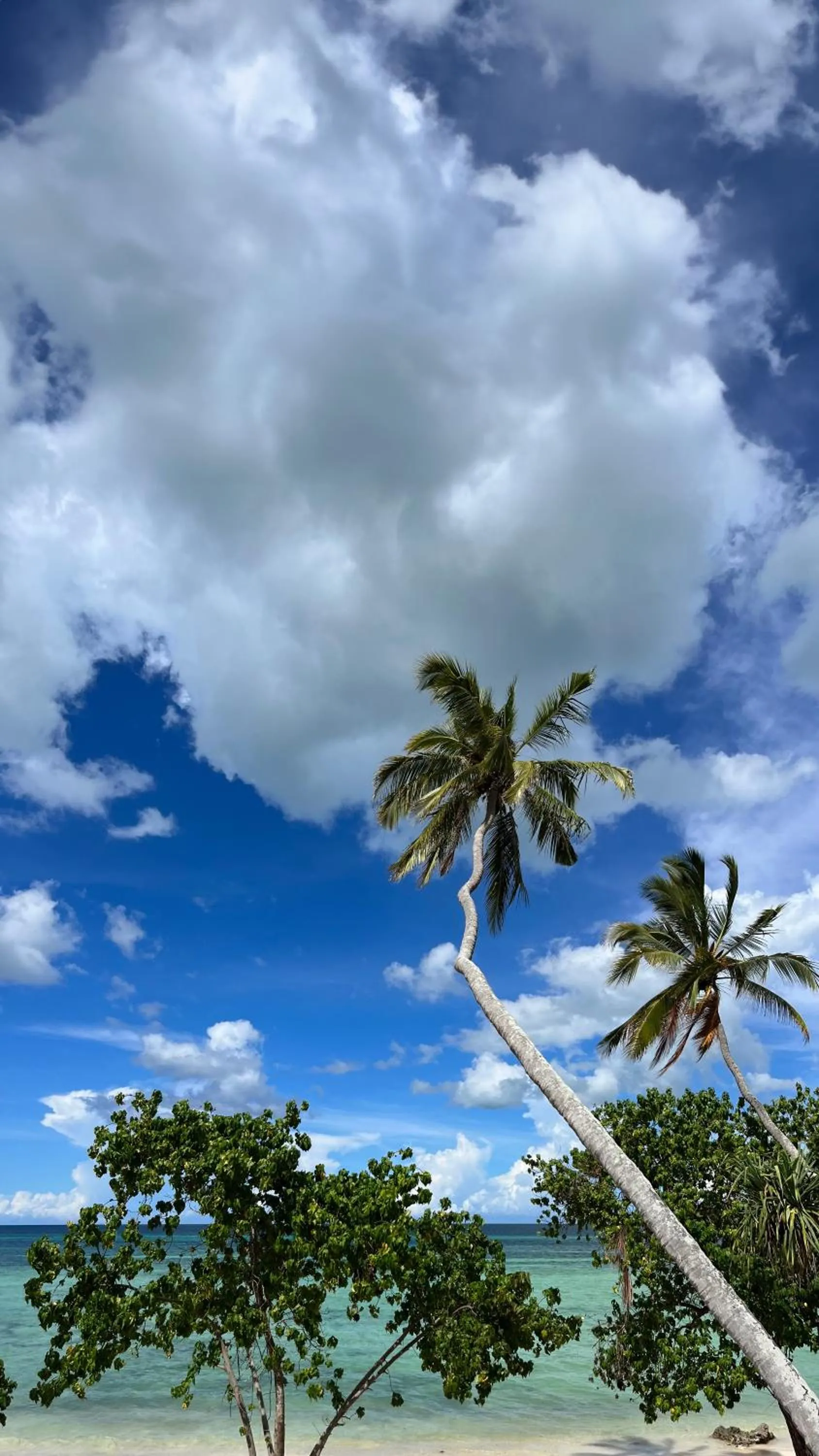 Beach in Ycona Eco-Luxury Resort, Zanzibar