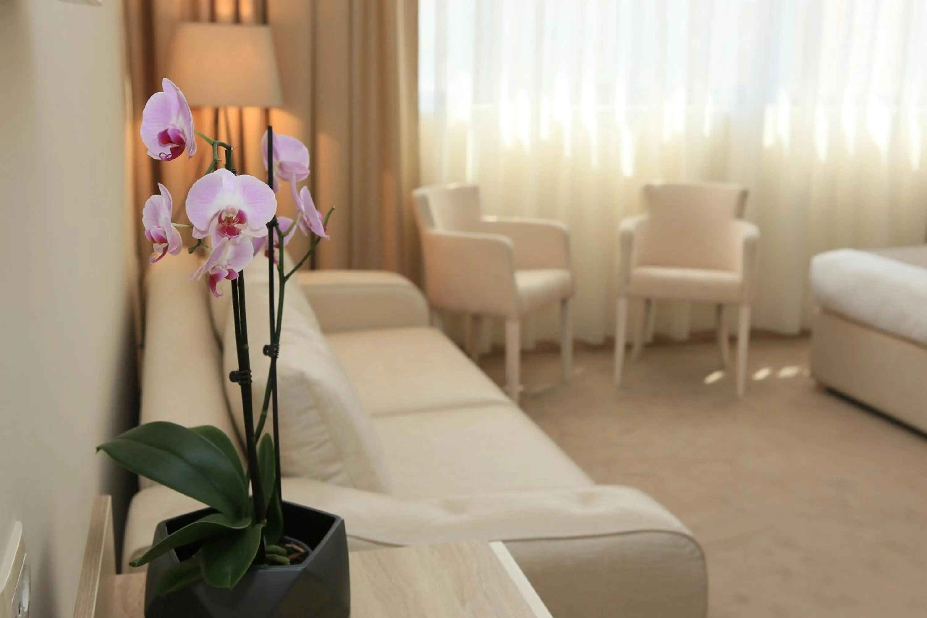 Living room in Hotel Leone