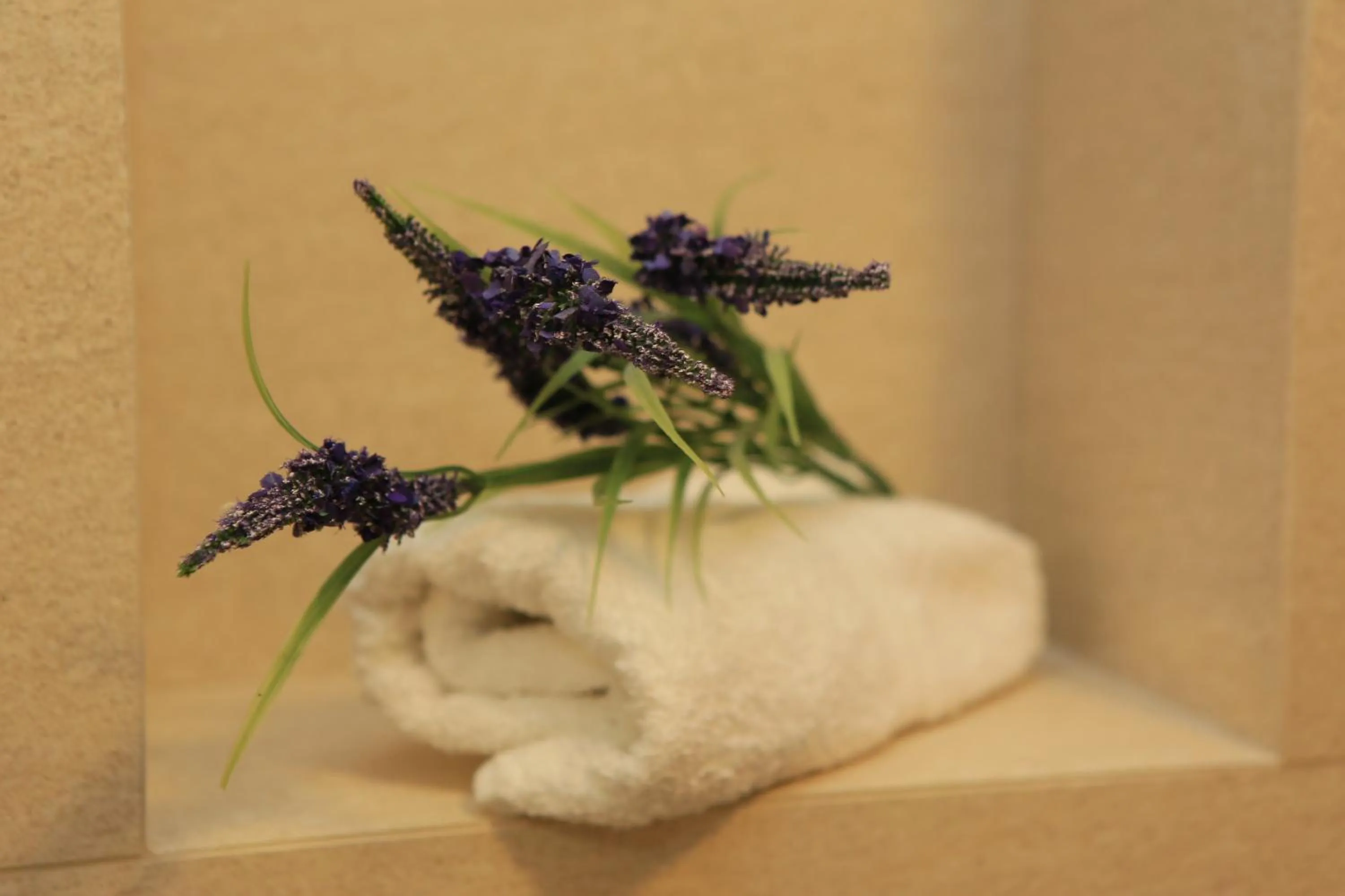 Bathroom in Hotel Leone