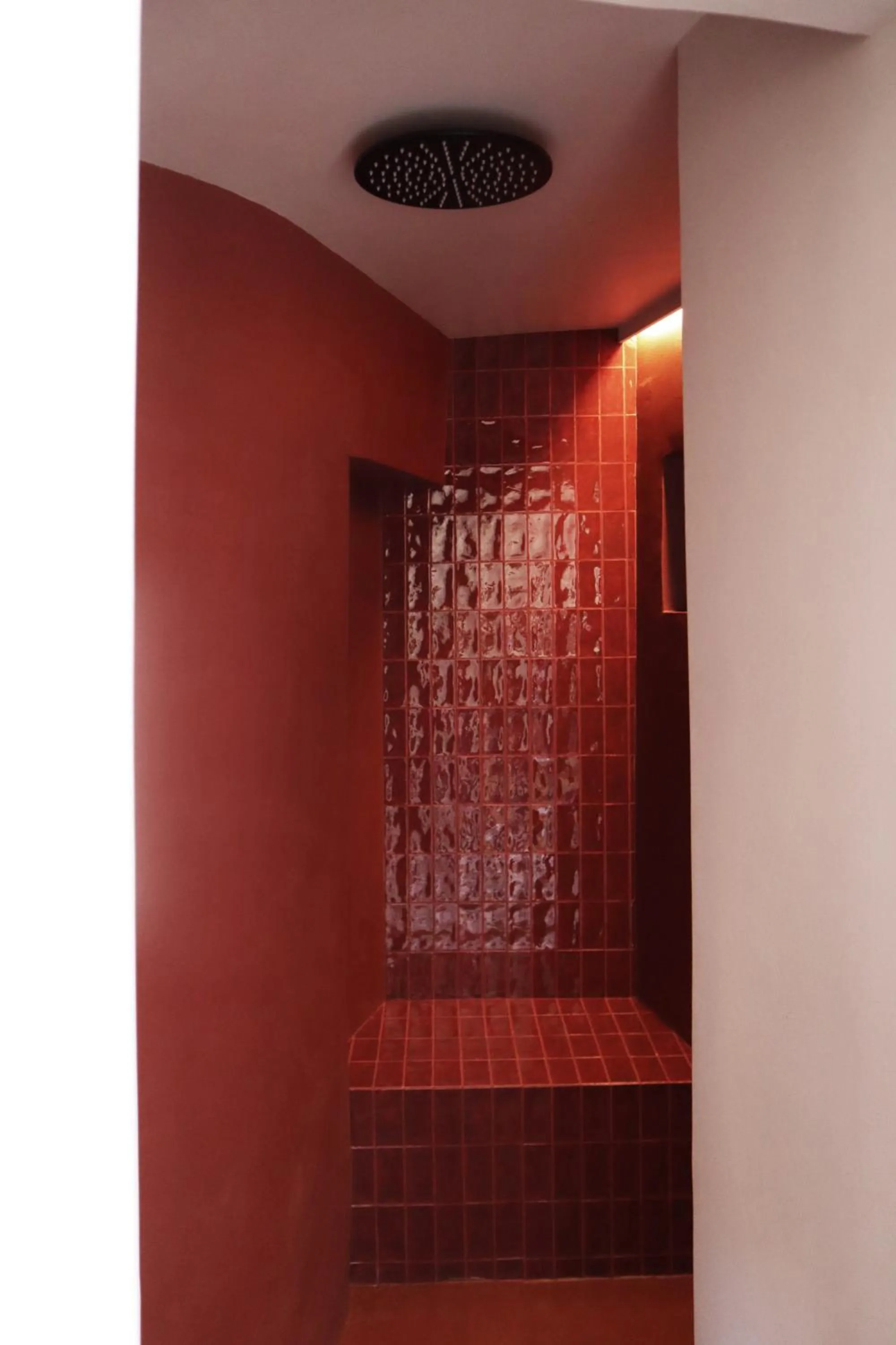 Shower in Roiss Haus Suites