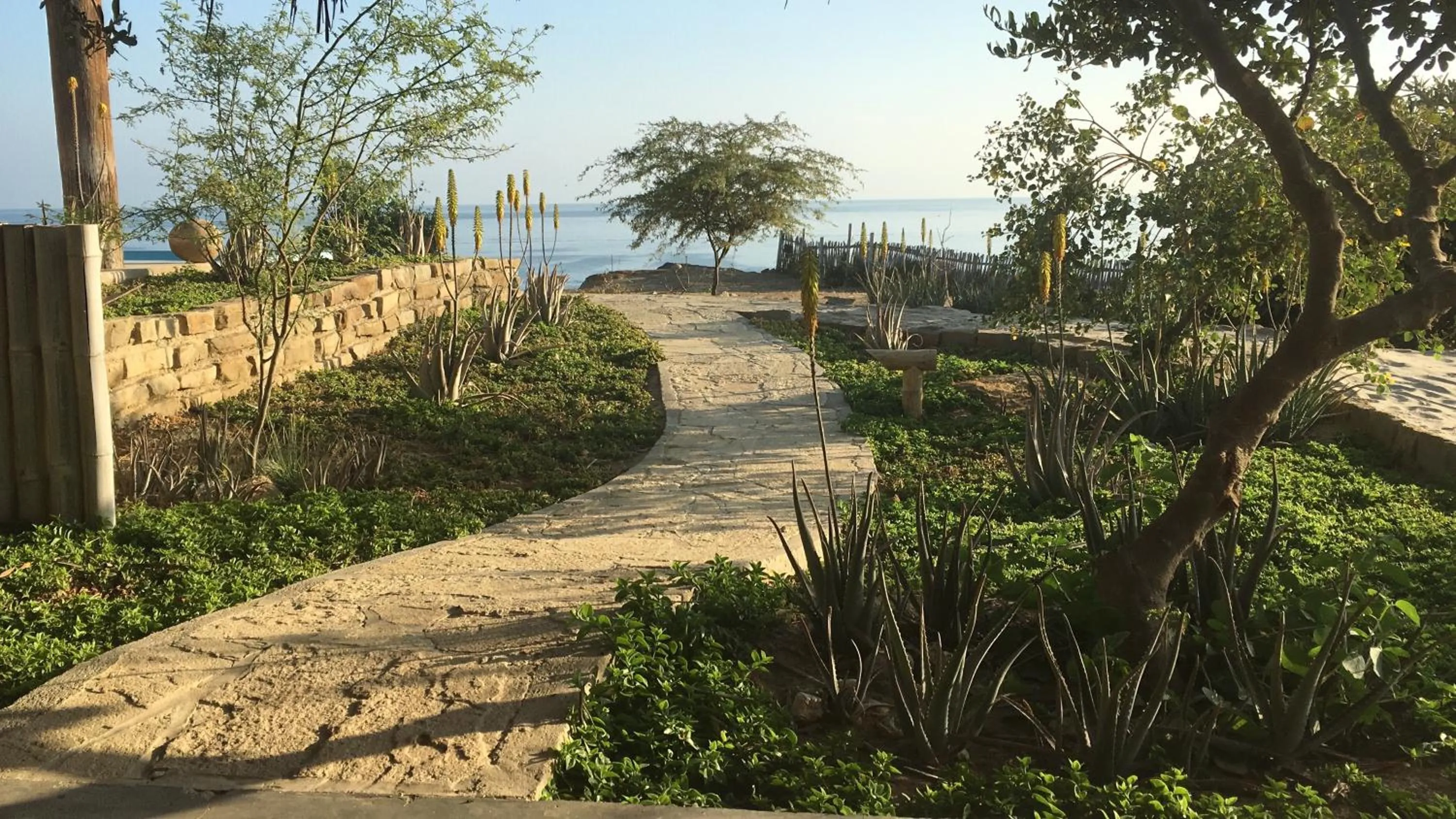 Sea view in La Playa