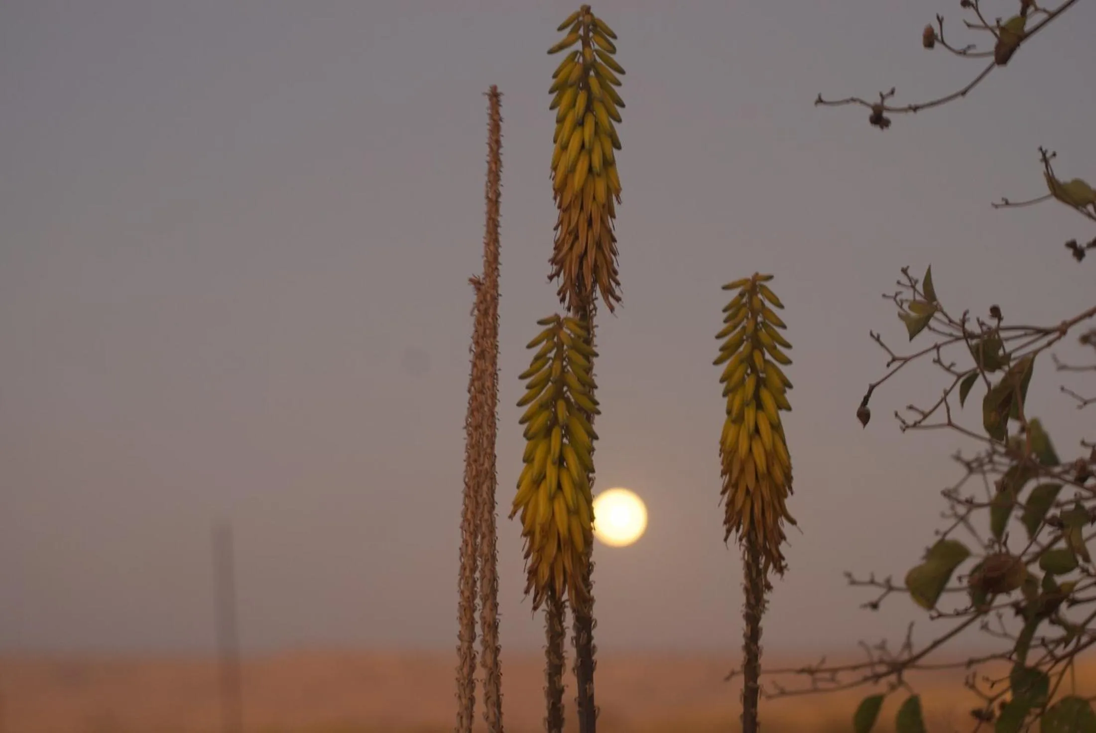Landmark view in La Playa