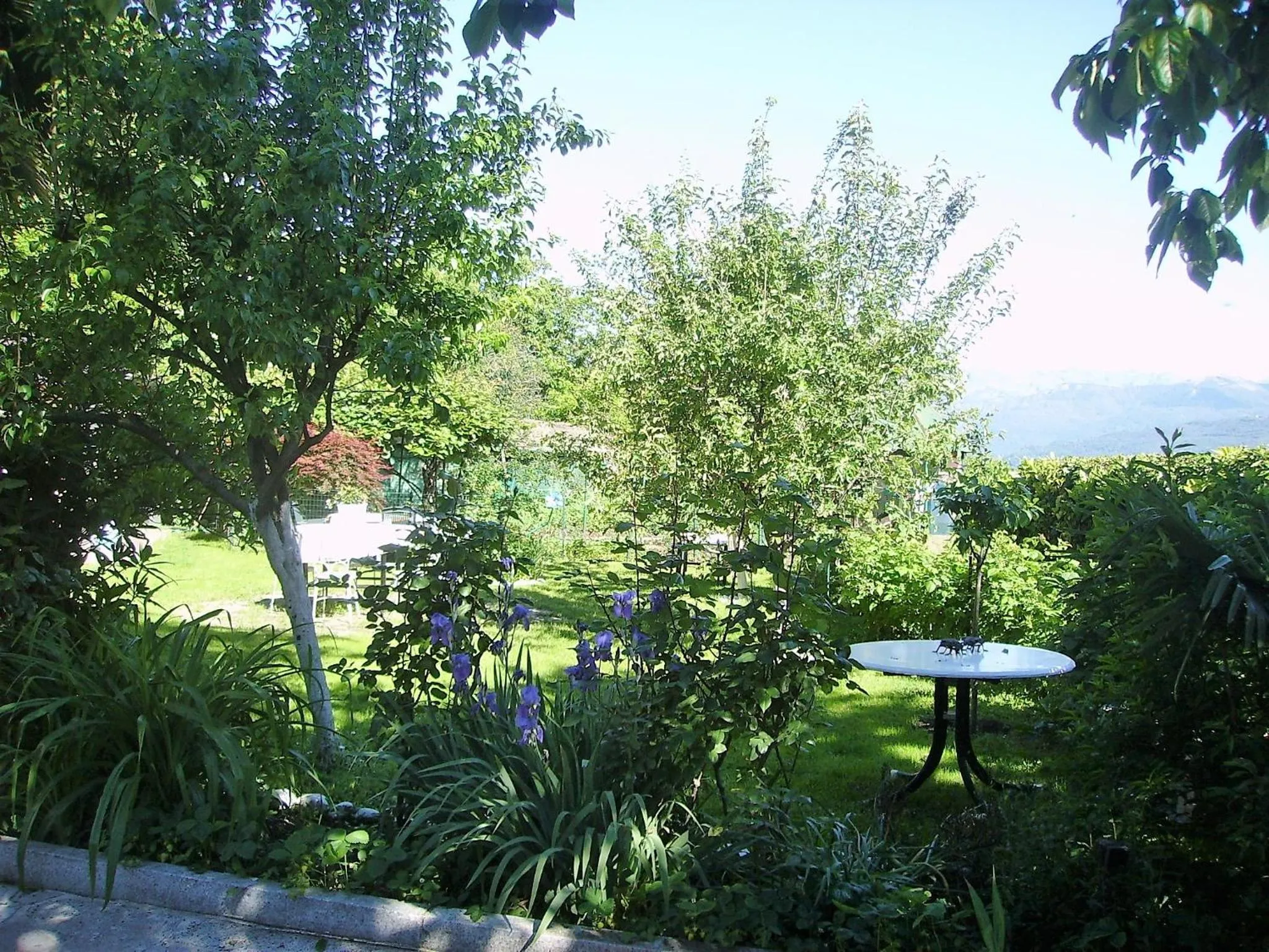 Garden view in B&B Madonna della Neve