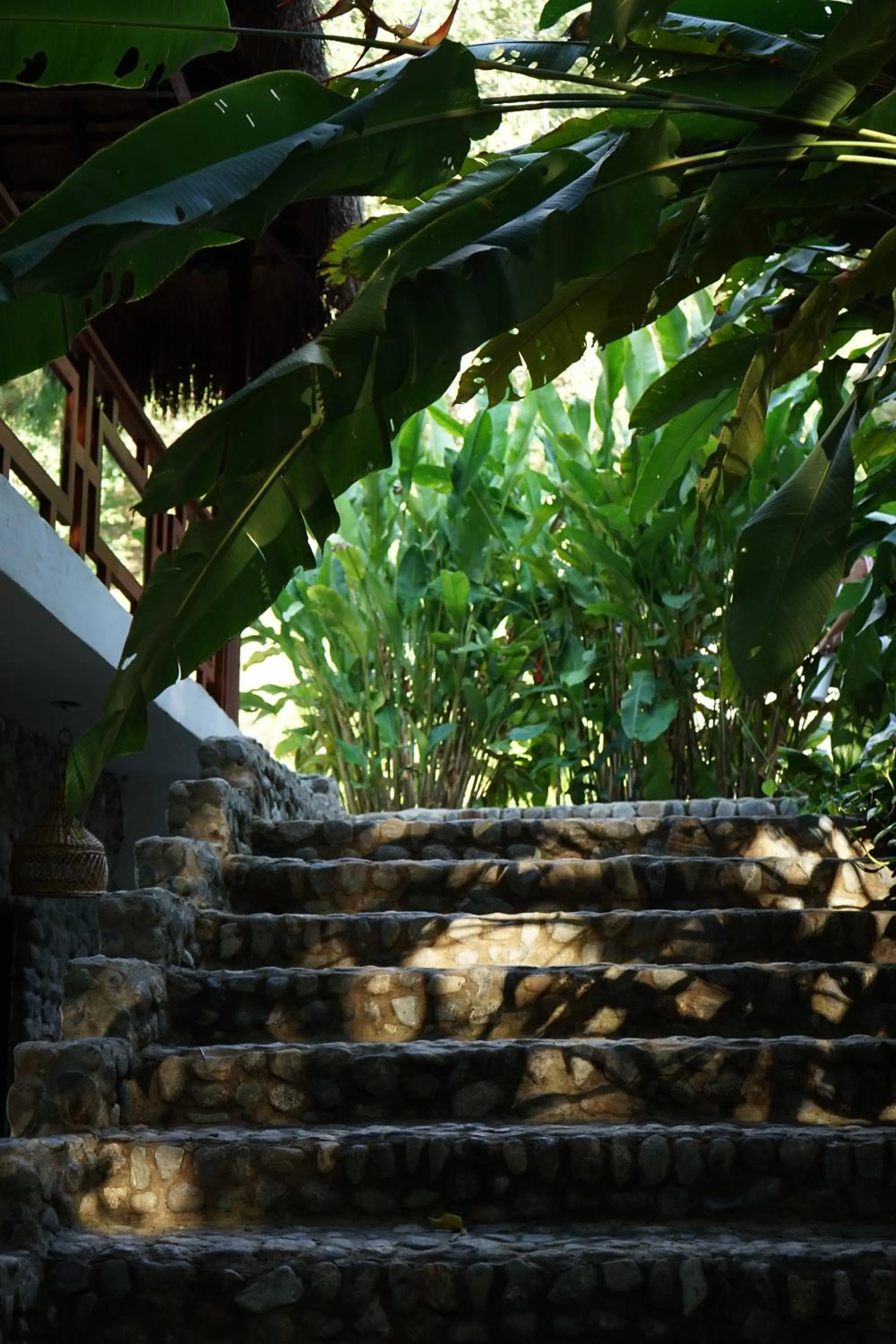 Day in Bio Rio Hotel