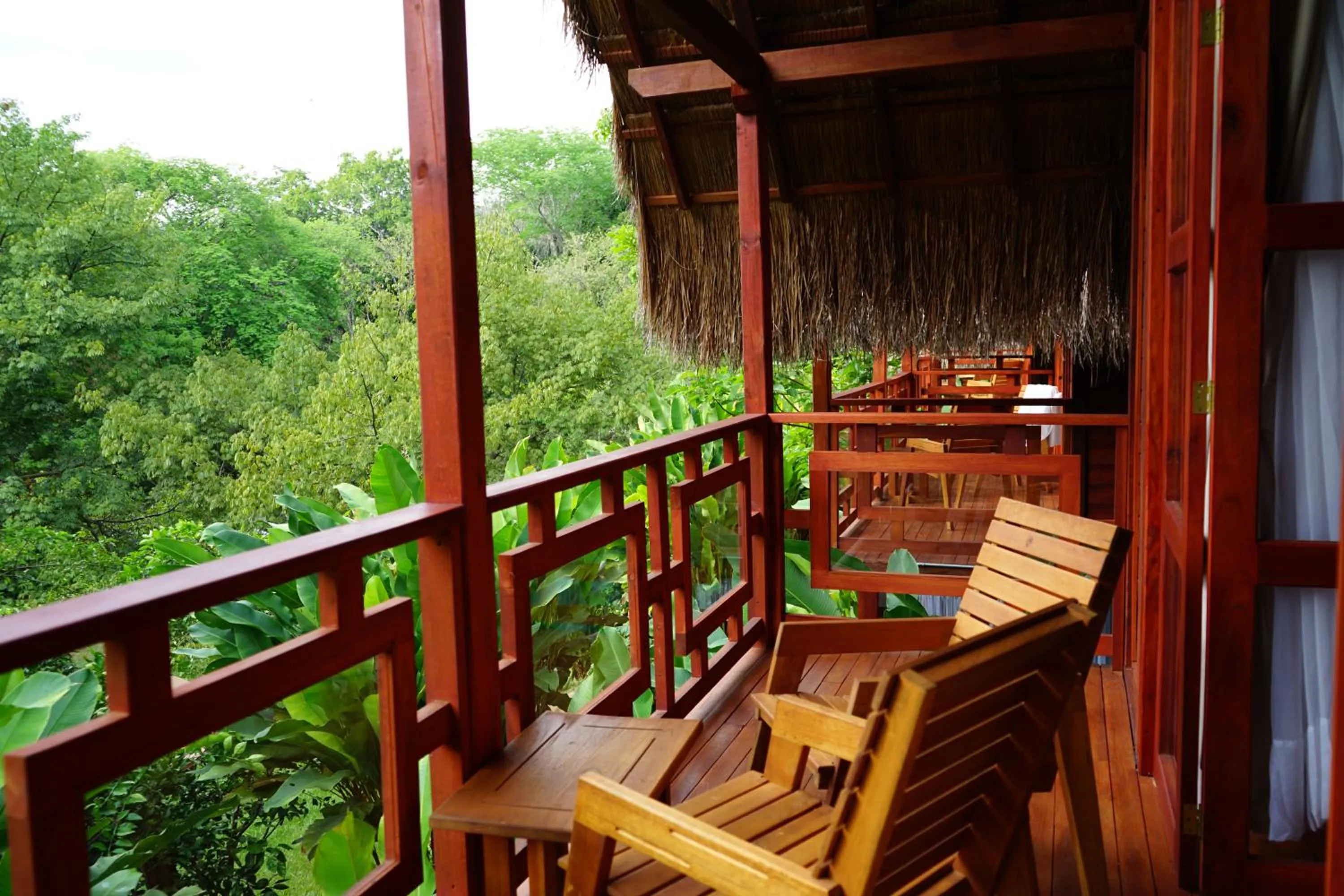 View (from property/room) in Bio Rio Hotel