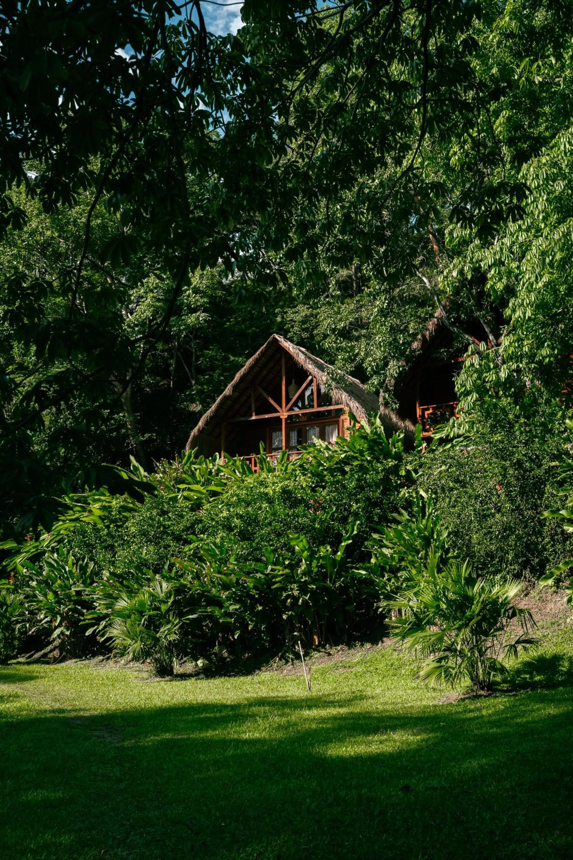 Spring in Bio Rio Hotel