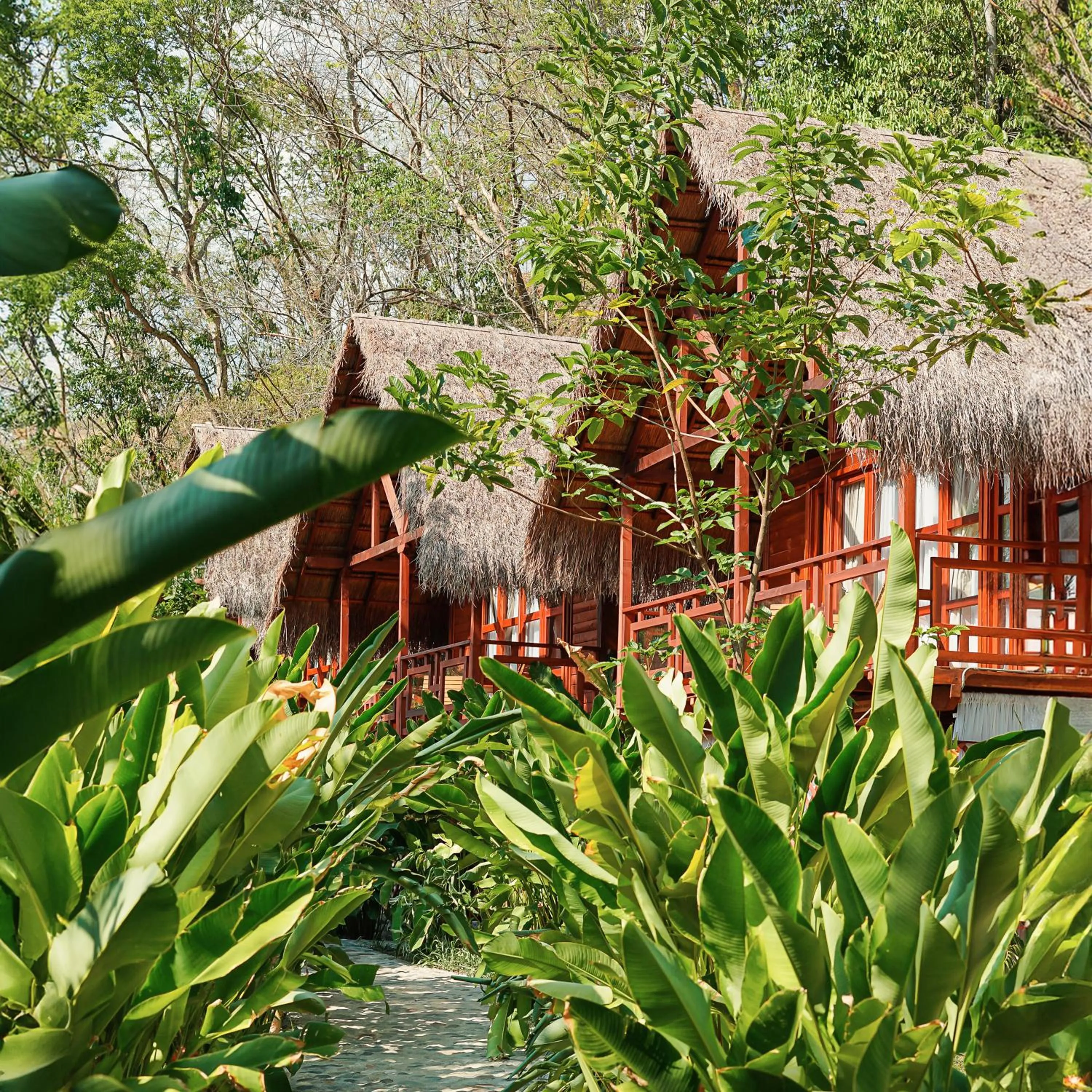 Natural landscape in Bio Rio Hotel