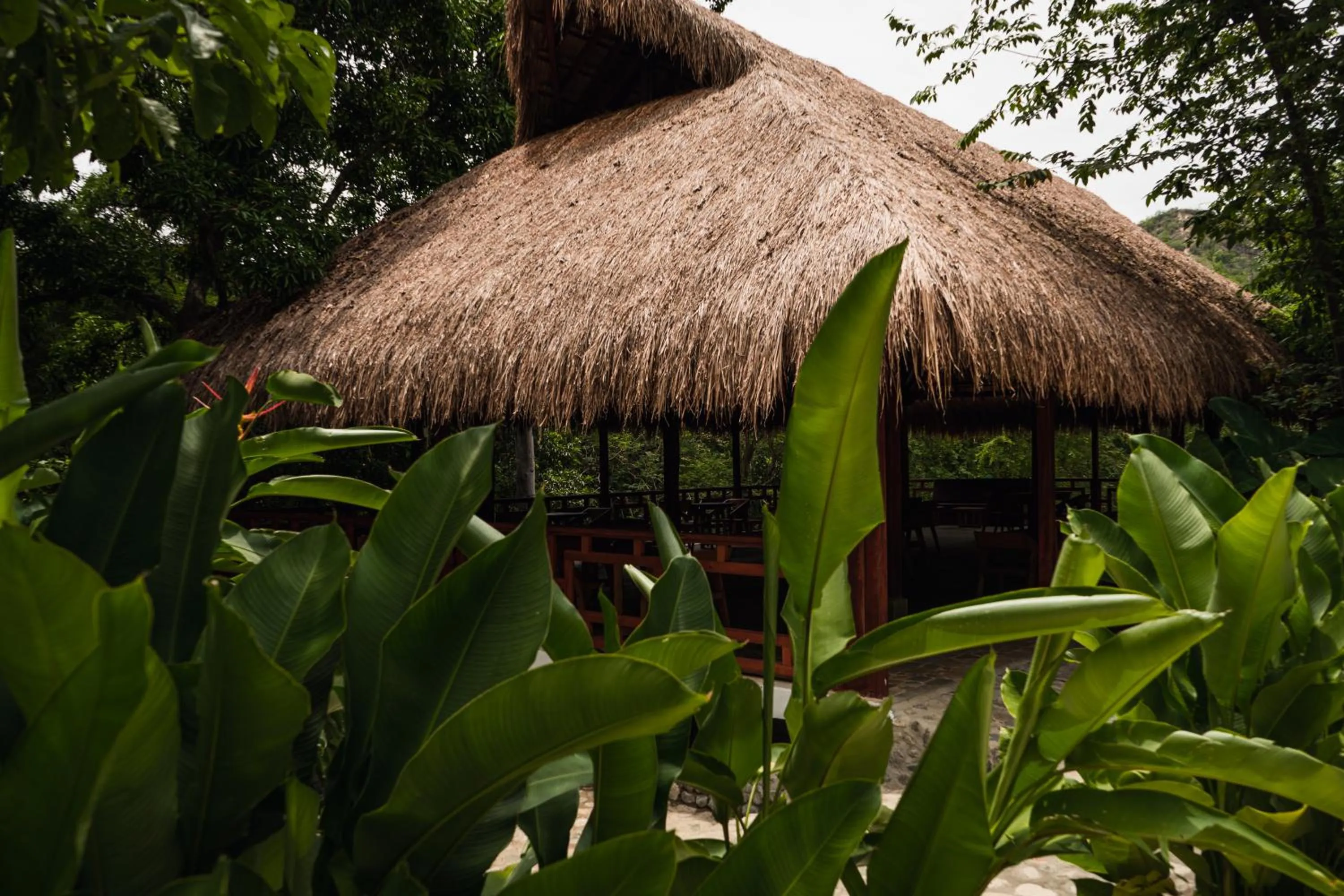 Natural landscape in Bio Rio Hotel