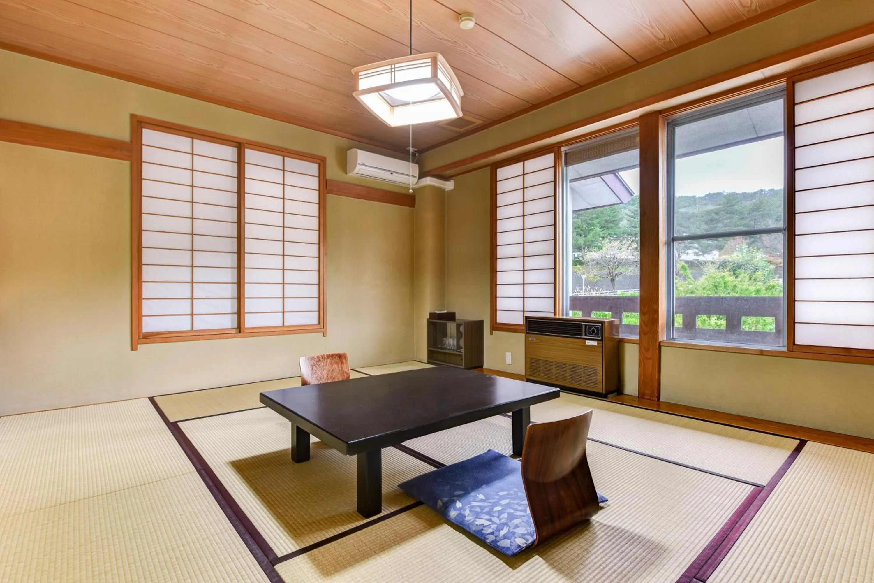 Photo of the whole room in Annex Fujiya Ryokan