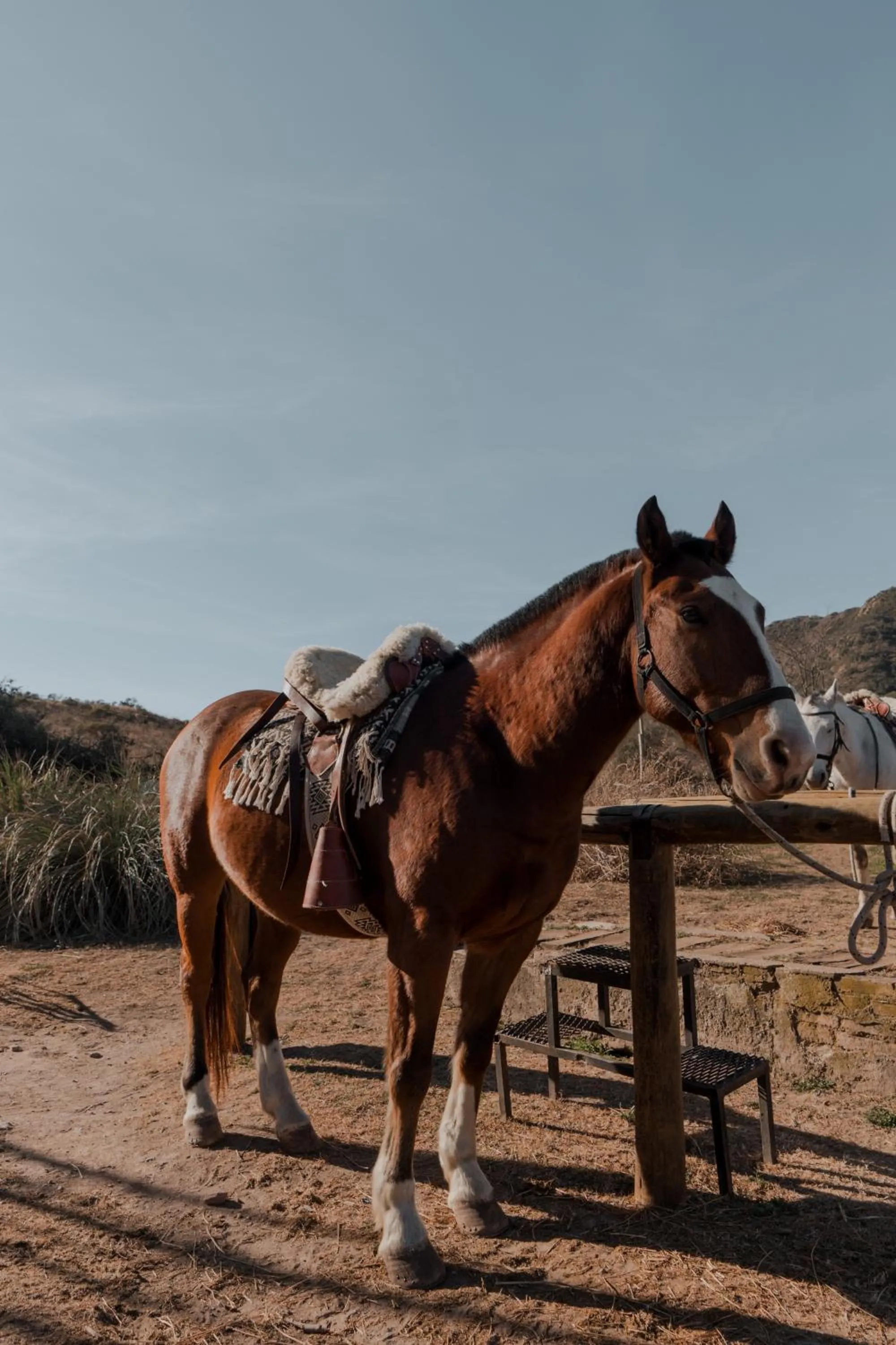 Activities in Get Hotel Molvento, AKEN SOUL Collection