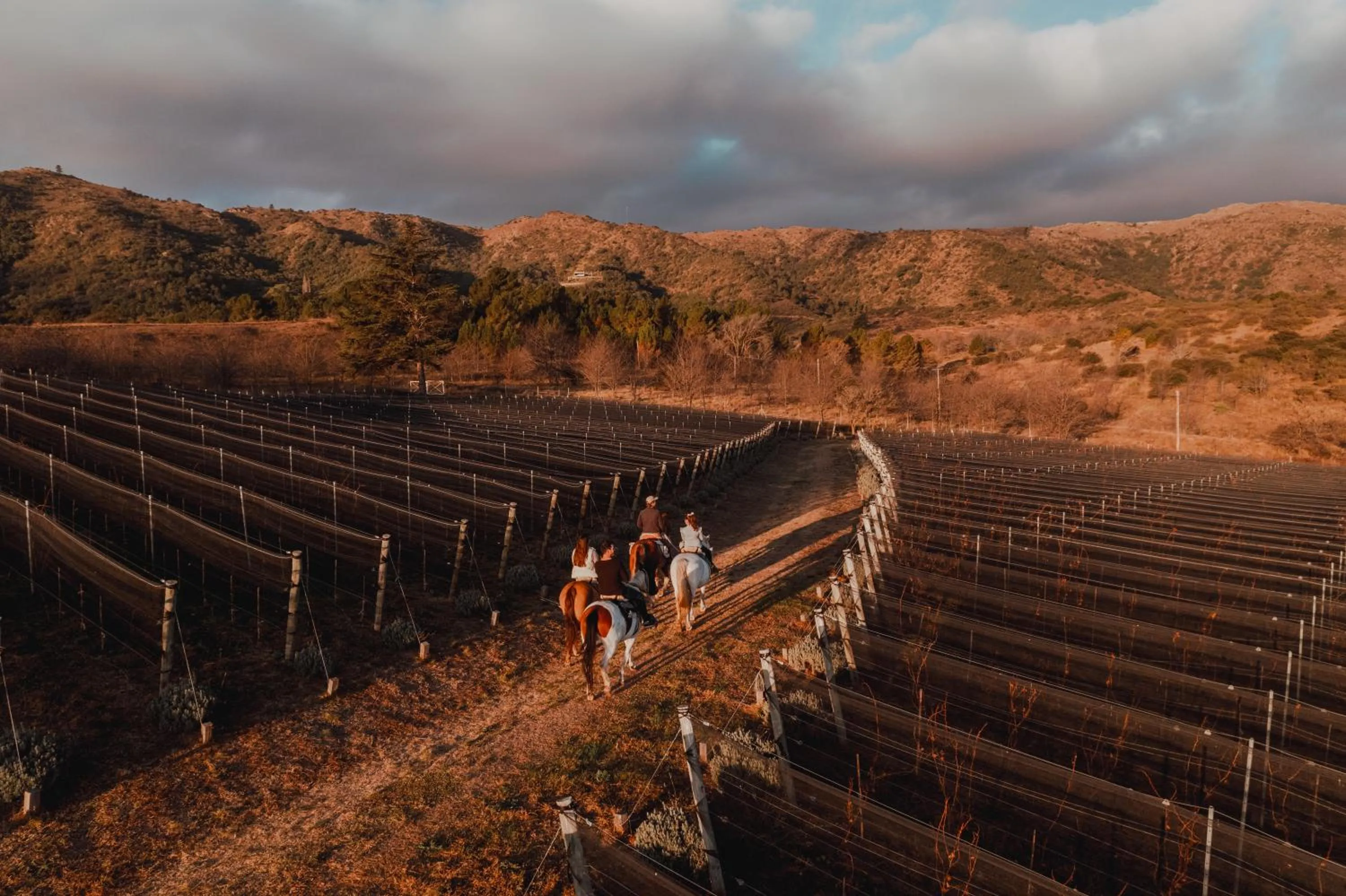 Natural landscape in Get Hotel Molvento, AKEN SOUL Collection