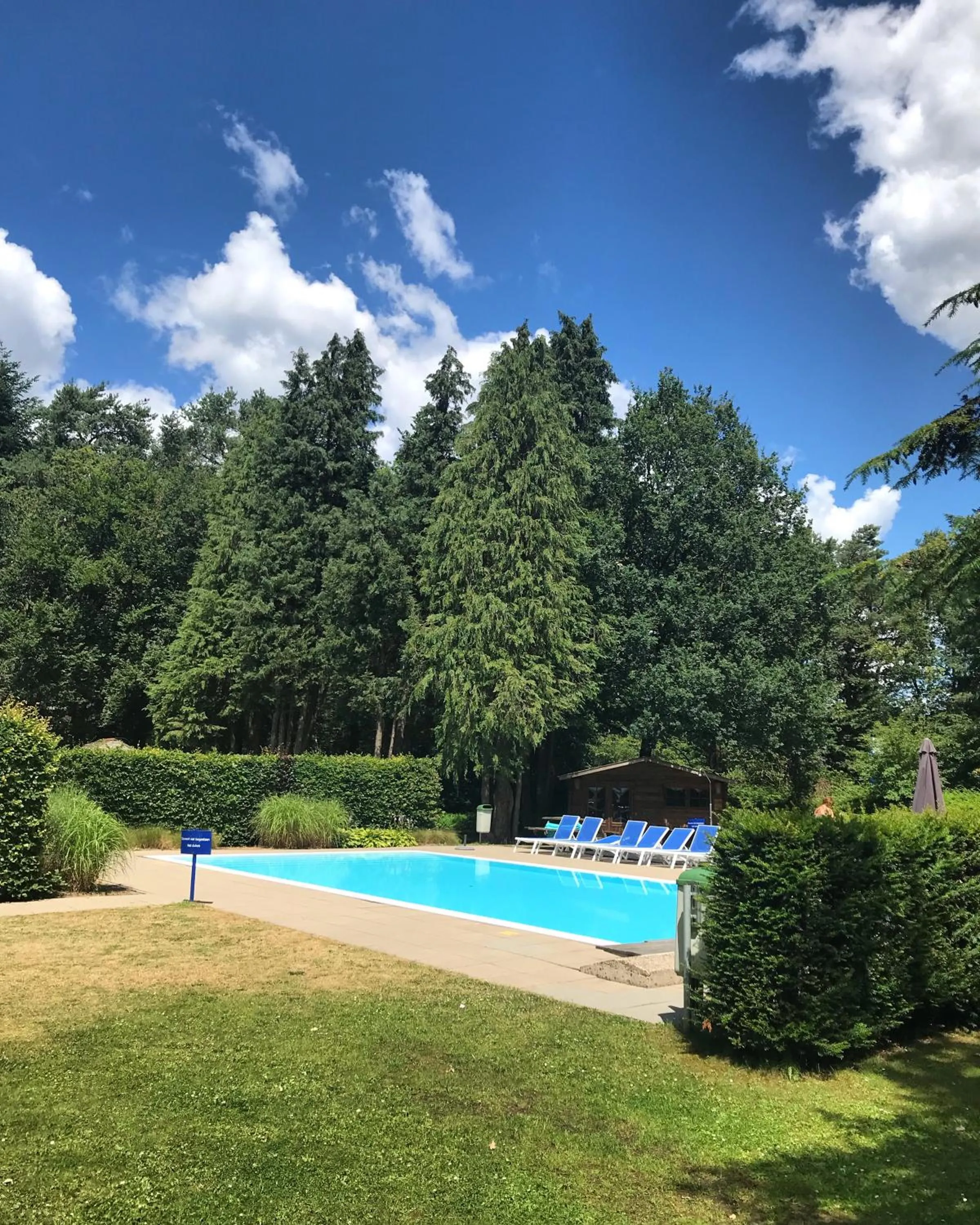 Swimming pool in Hotel De Werelt Garderen