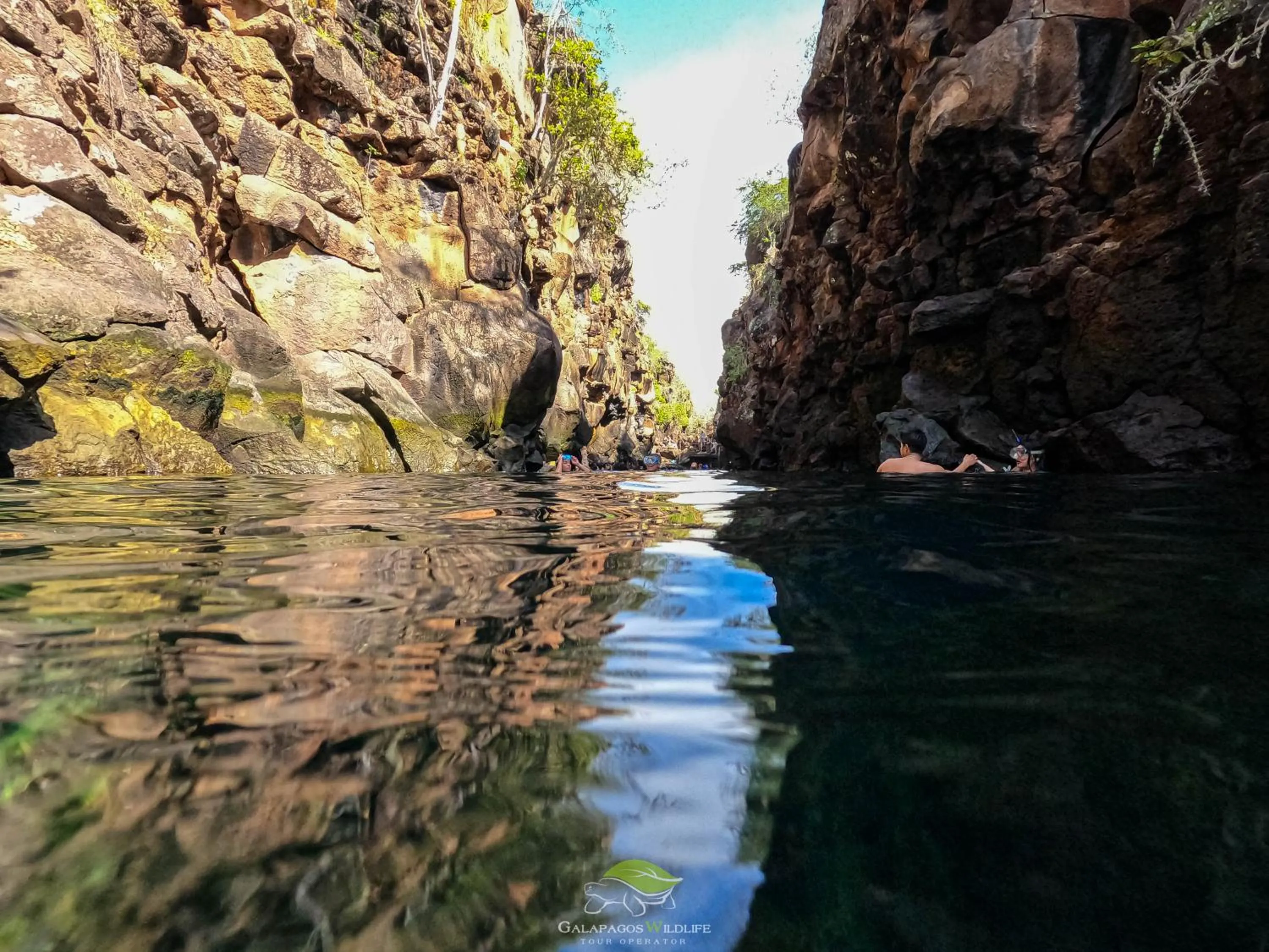 Natural landscape in Carliza Nature Lodge