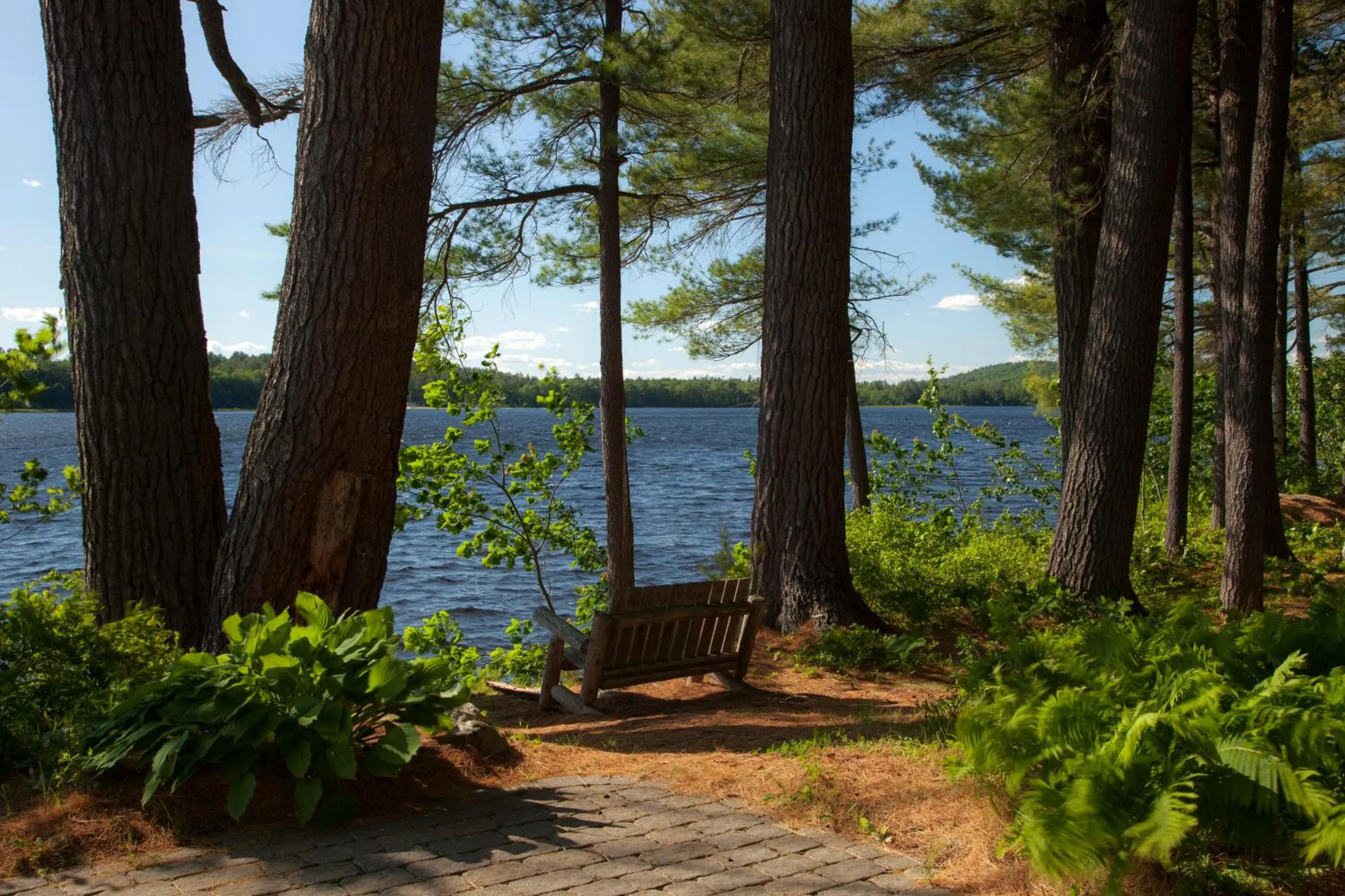 View (from property/room) in Wolf Cove Inn