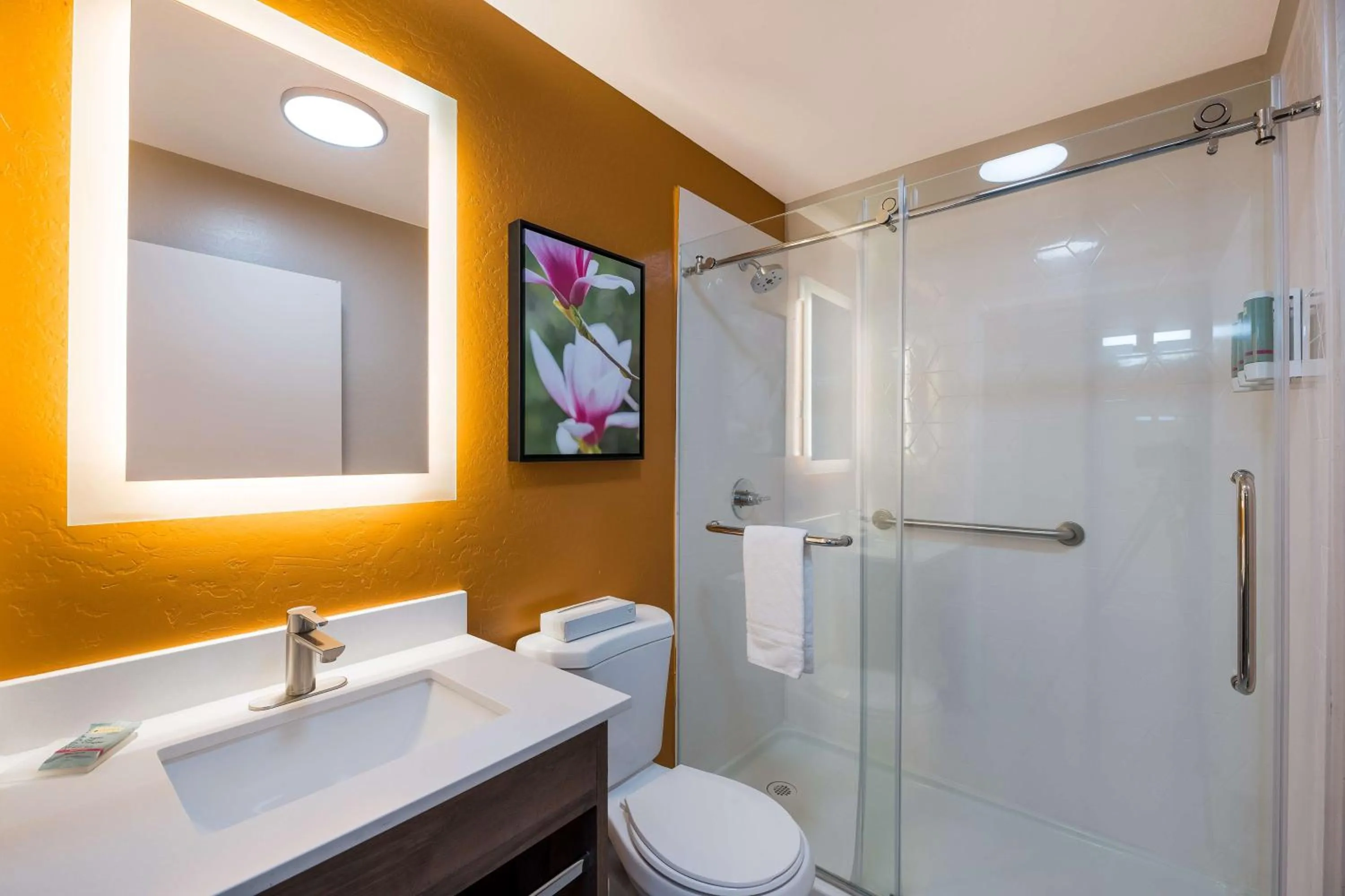 Bathroom in Best Western Bellemont Shadow Mountain Inn