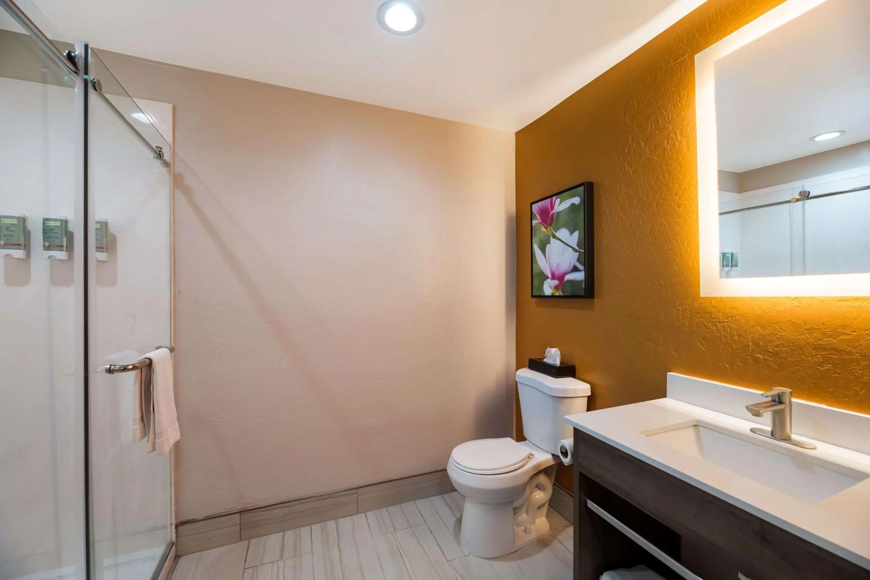 Bathroom in Best Western Bellemont Shadow Mountain Inn