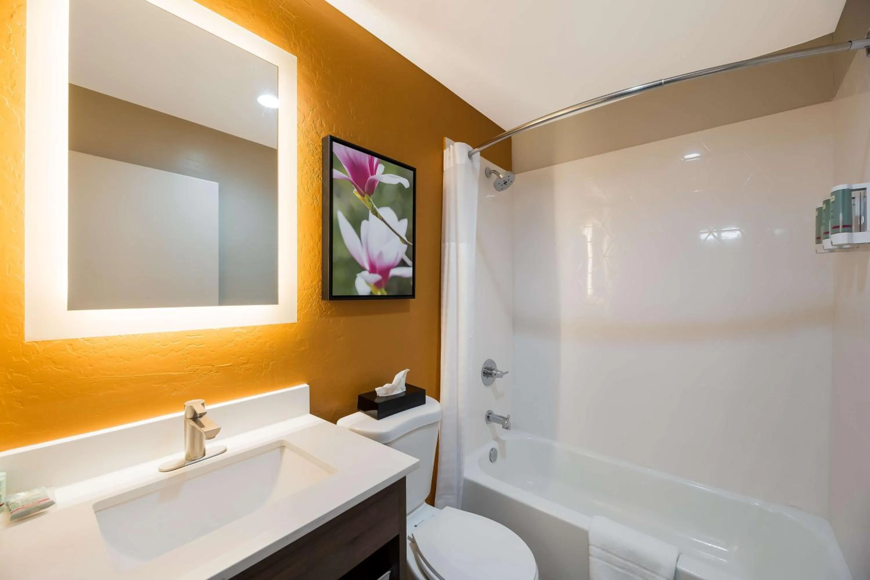 Bathroom in Best Western Bellemont Shadow Mountain Inn