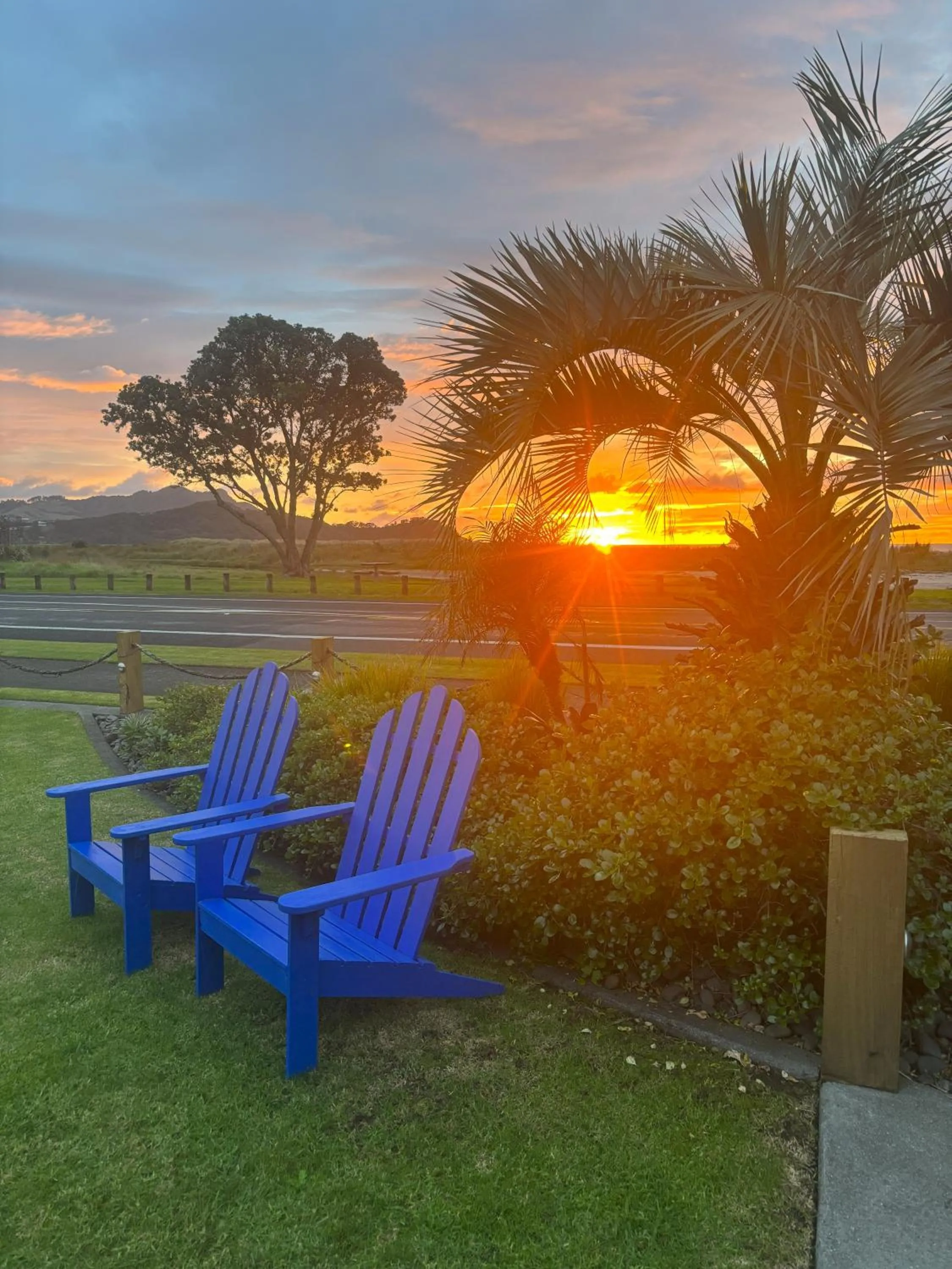 Garden in Baileys At The Beach