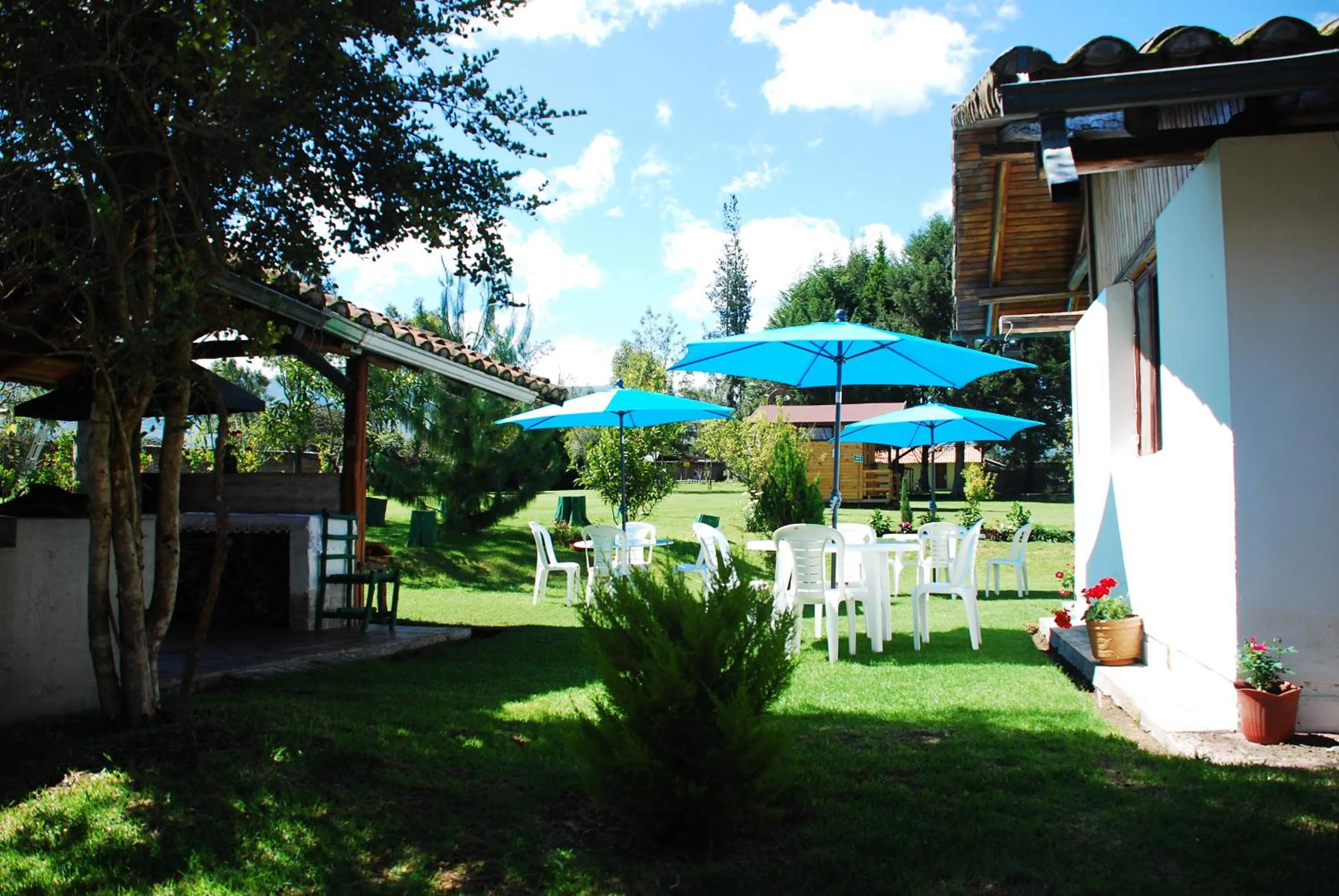 Lunch in Hosteria Airport Garden