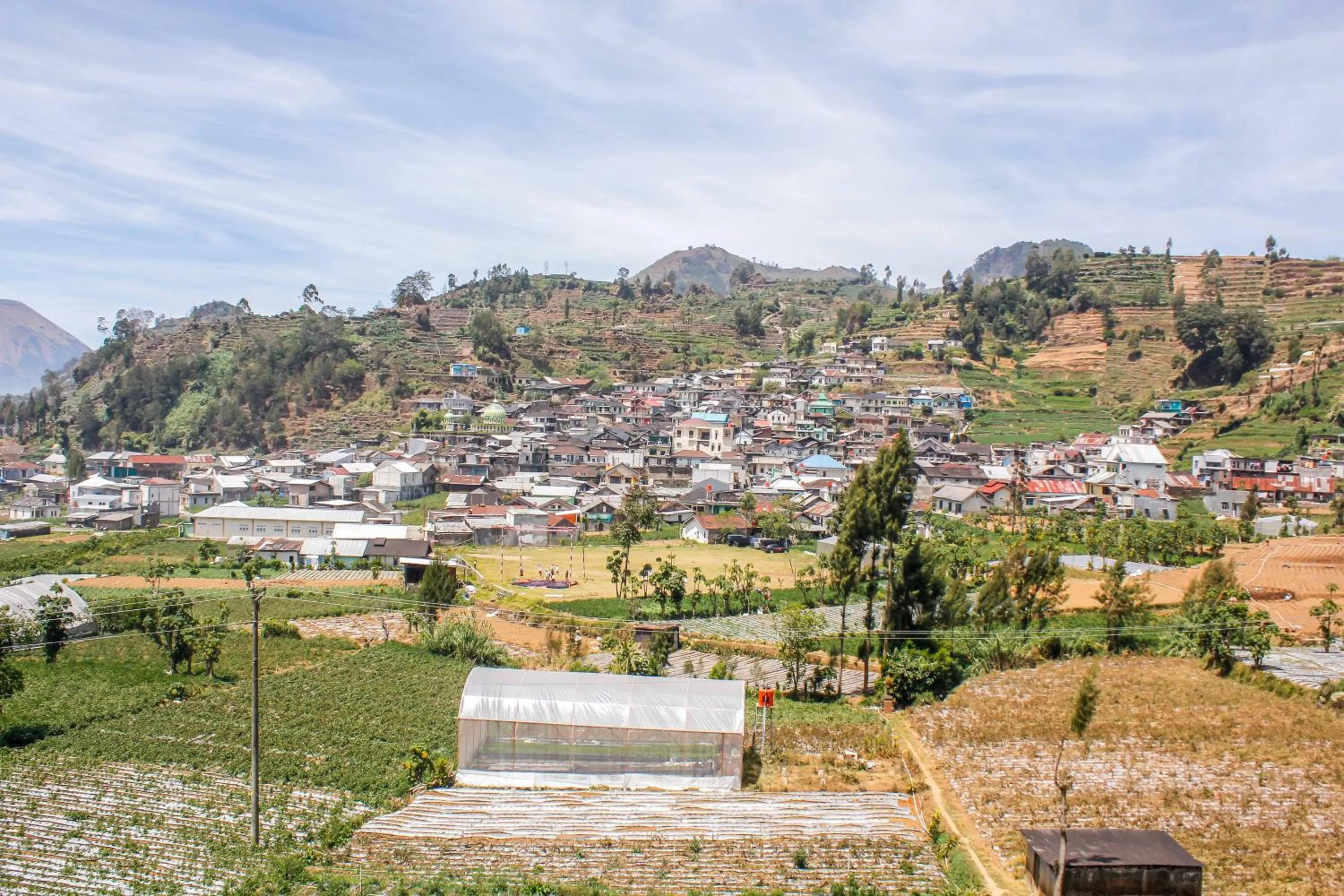 Natural landscape in RedDoorz Syariah near Kawasan Wisata Gunung Prau Dieng
